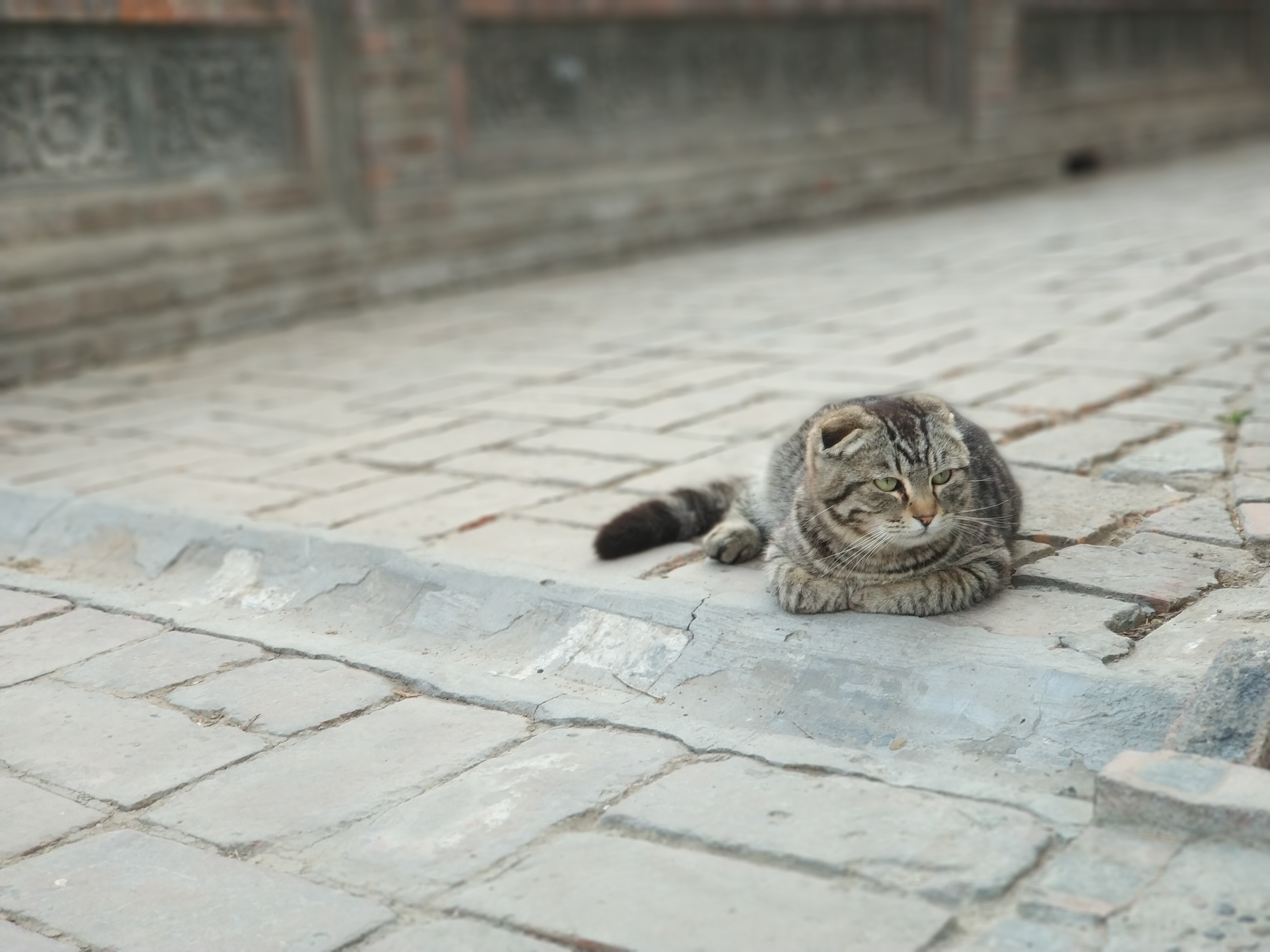 北京美食-果园西餐厅
