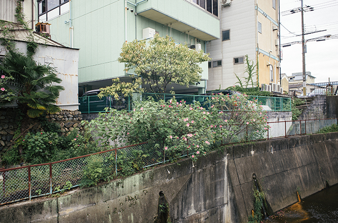 大阪靠右