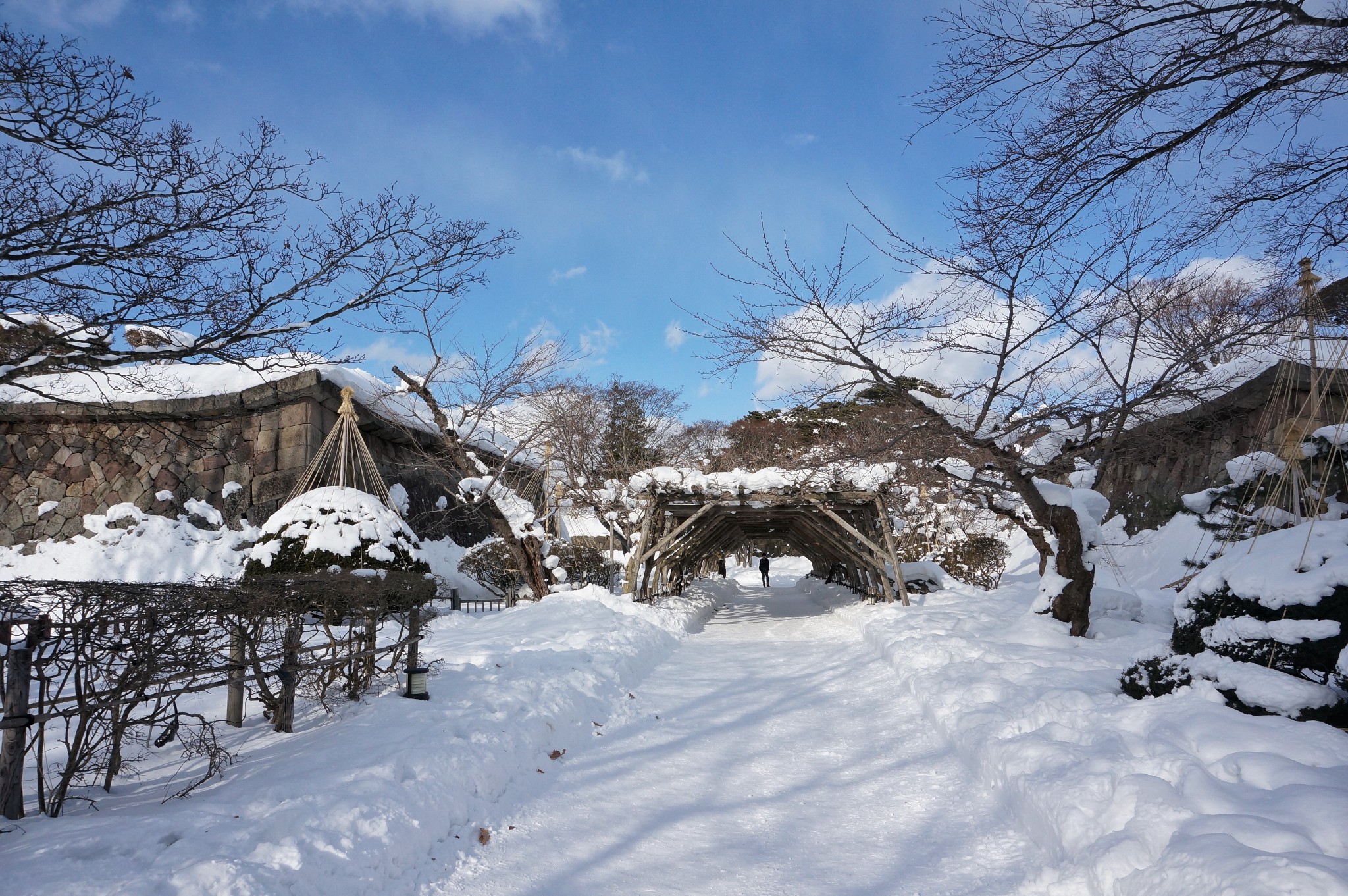 北海道自助遊攻略