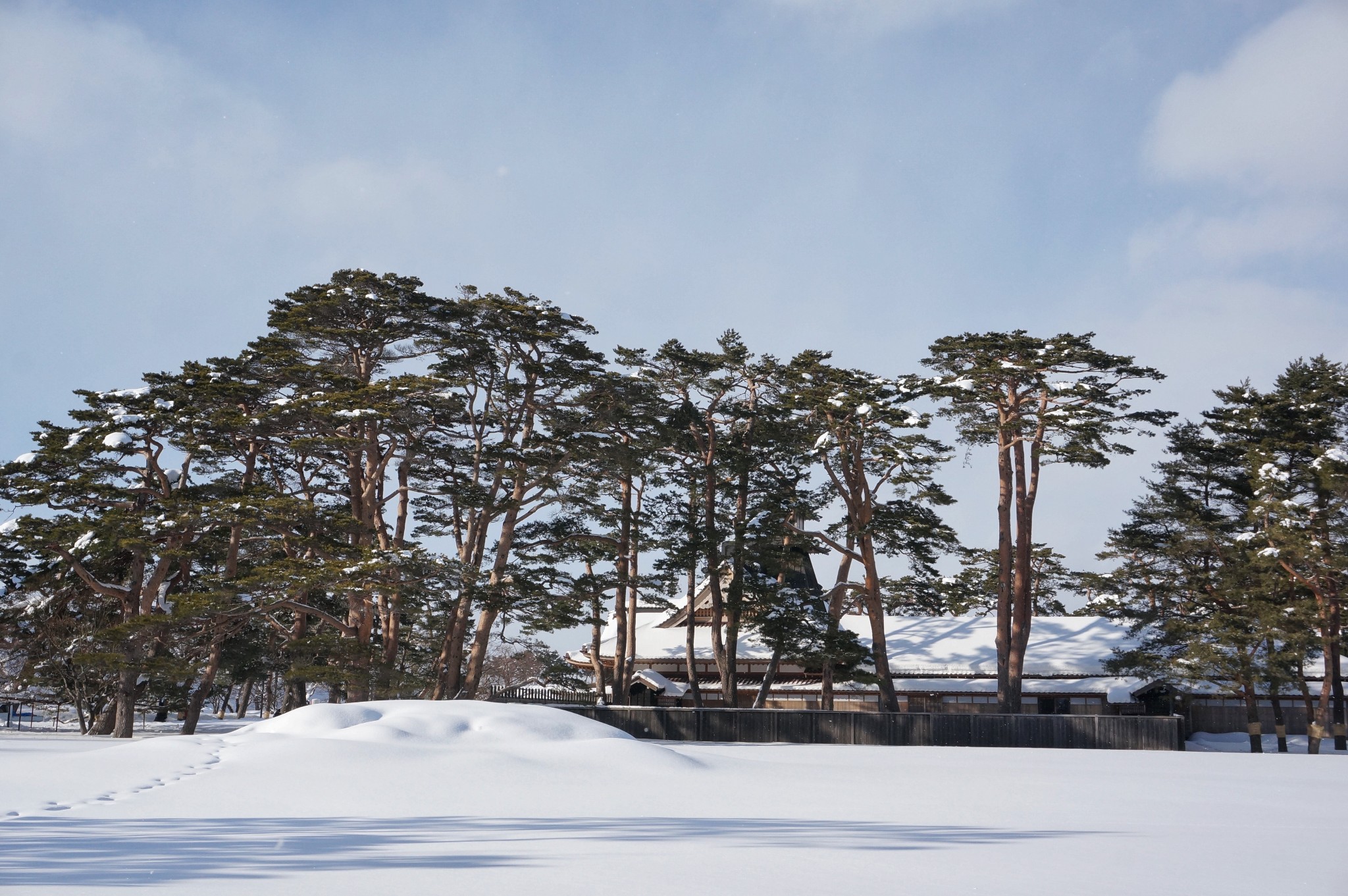 北海道自助遊攻略