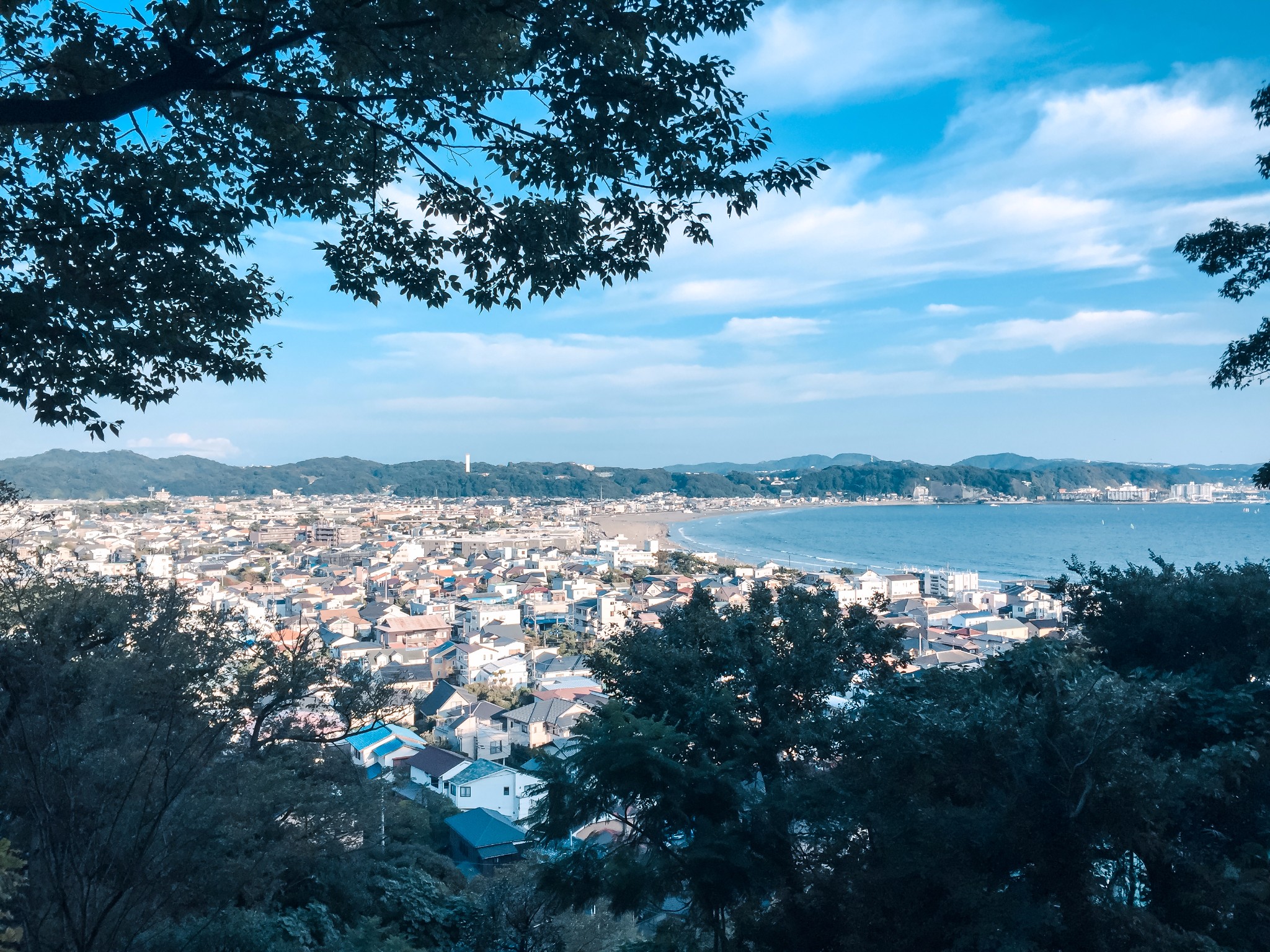 伊豆到東京,看夏日最後的花火大會圖片107,日本旅遊景點,風景名勝