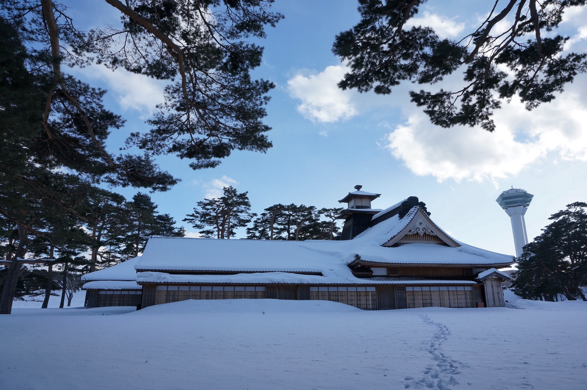 北海道自助遊攻略