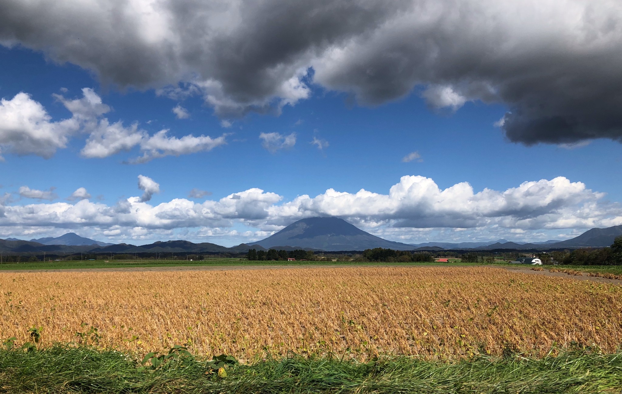 北海道自助遊攻略