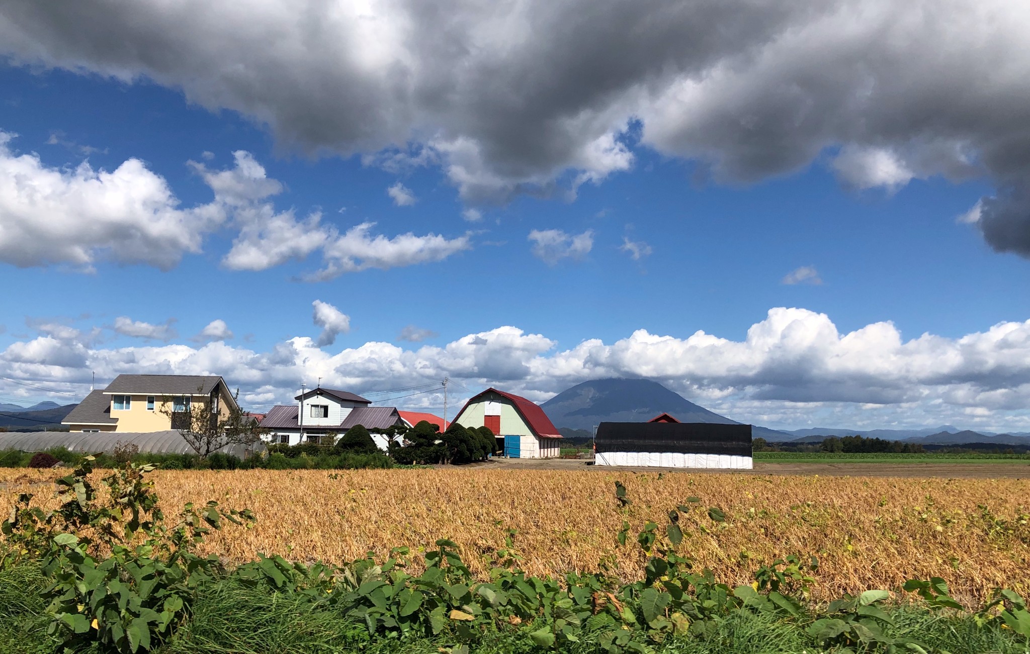 北海道自助遊攻略