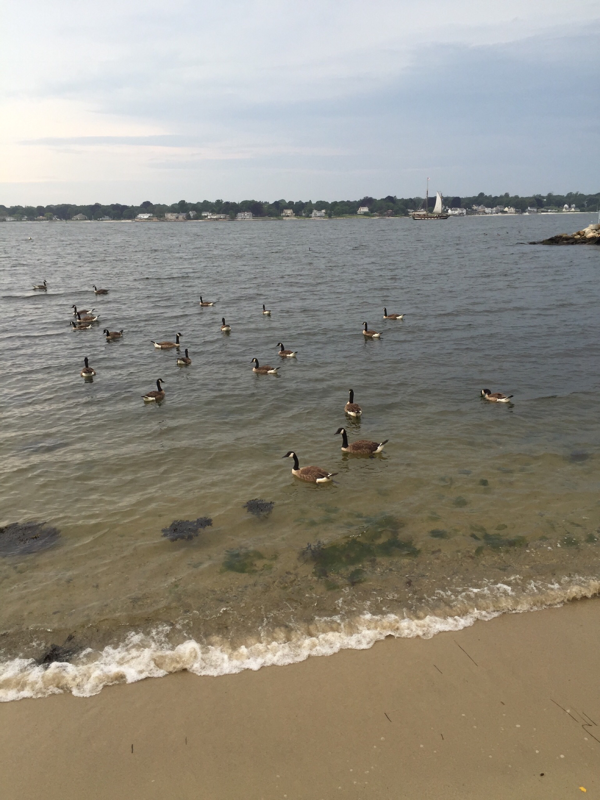 新伦敦娱乐-Eastern Point Beach