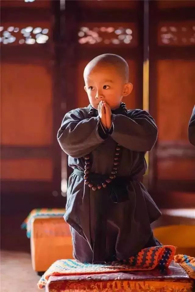 贵州妥乐大美银杏村千年寺庙和超萌小和尚的故事