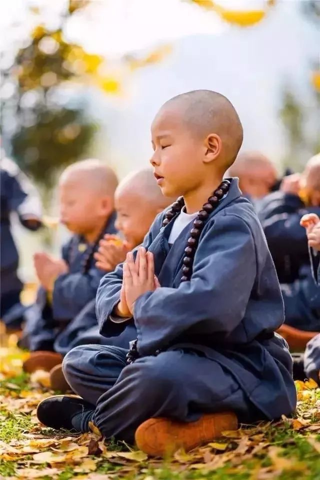 贵州妥乐大美银杏村千年寺庙和超萌小和尚的故事