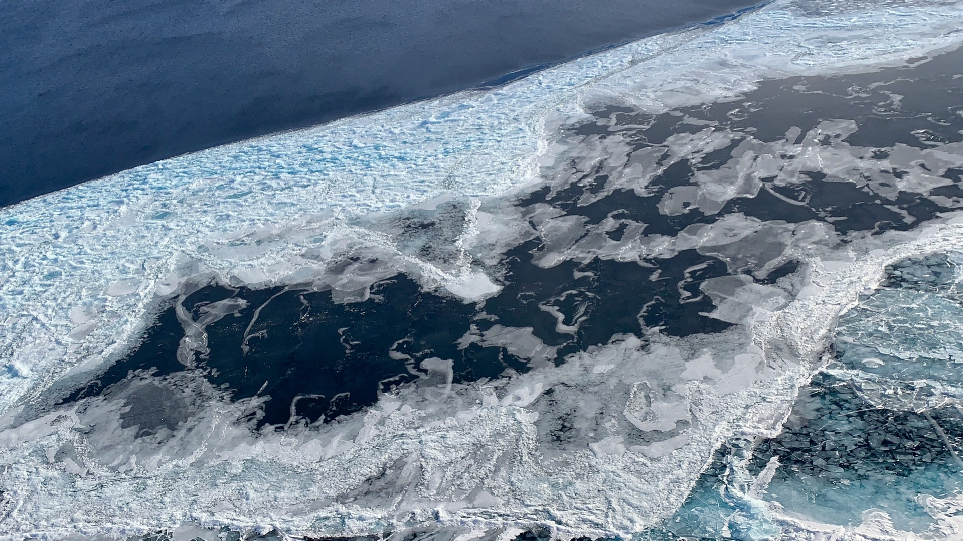 当西伯利亚的寒流来袭 我便飘洋过海来看你