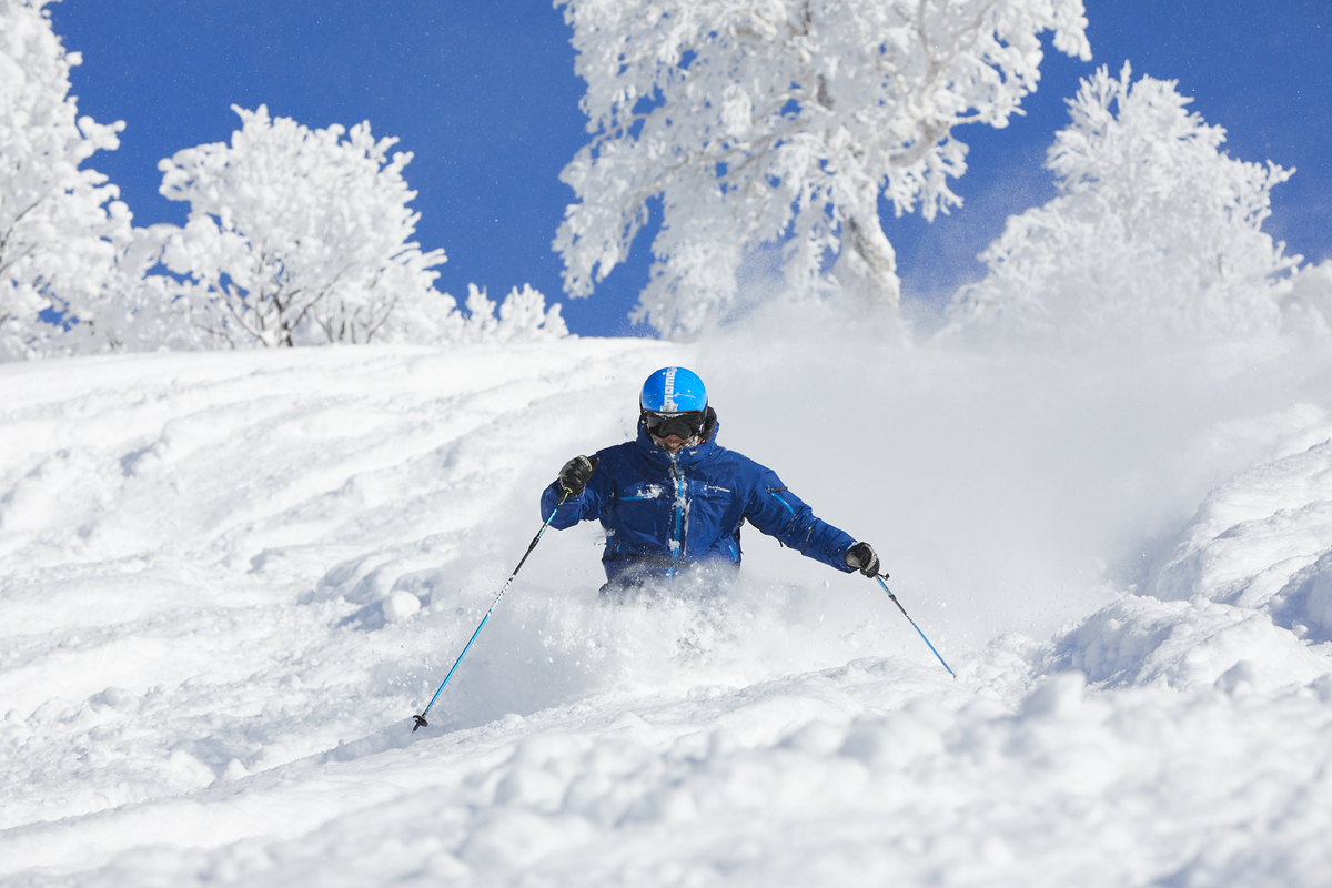 到了冬天,更是观赏北海道最有特色的雪景,体验滑雪的好选择