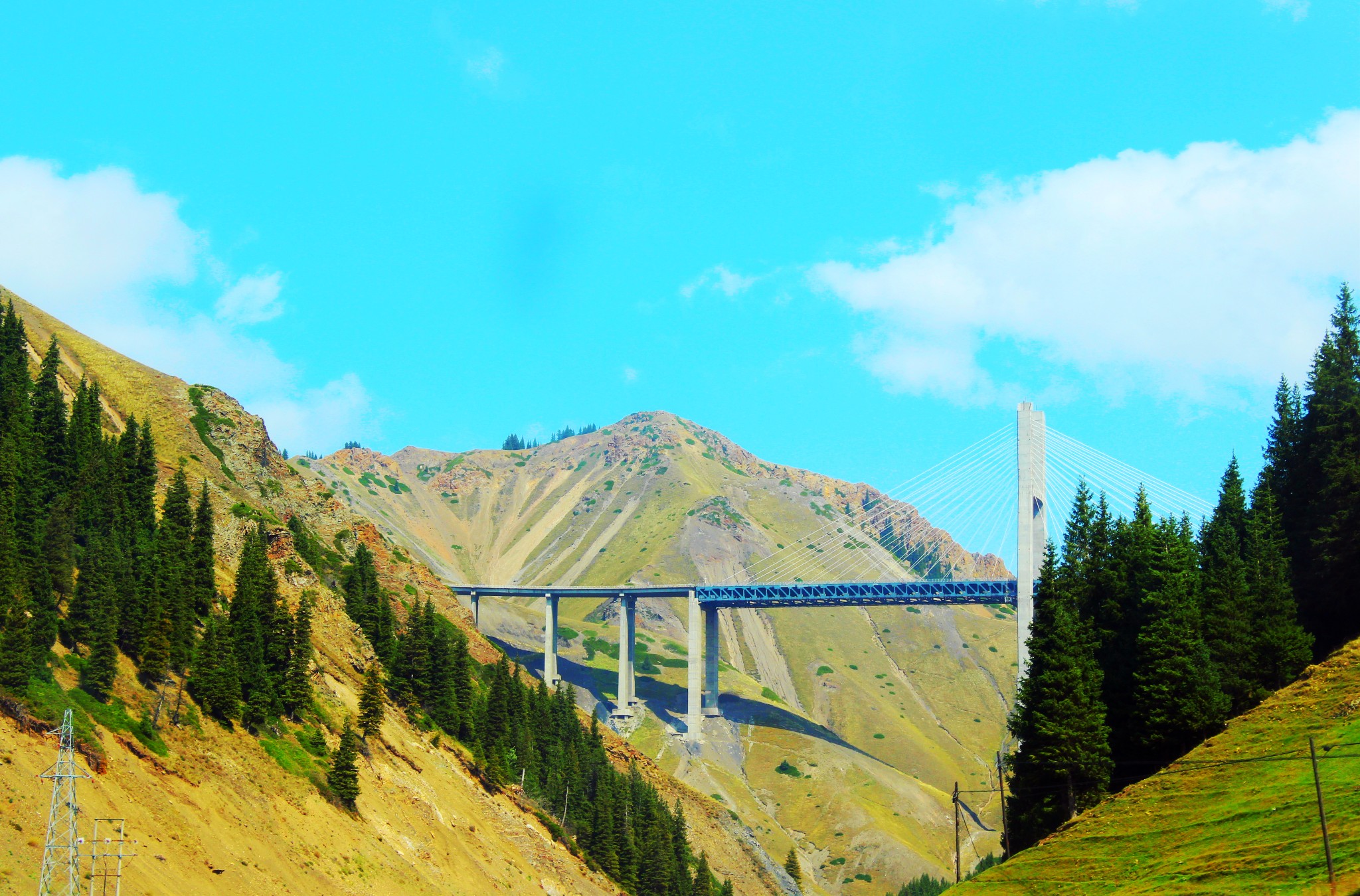 霍尔果斯市旅游图片