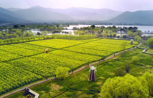 龙之梦·太湖图影湿地,承包你一年的湖州假日