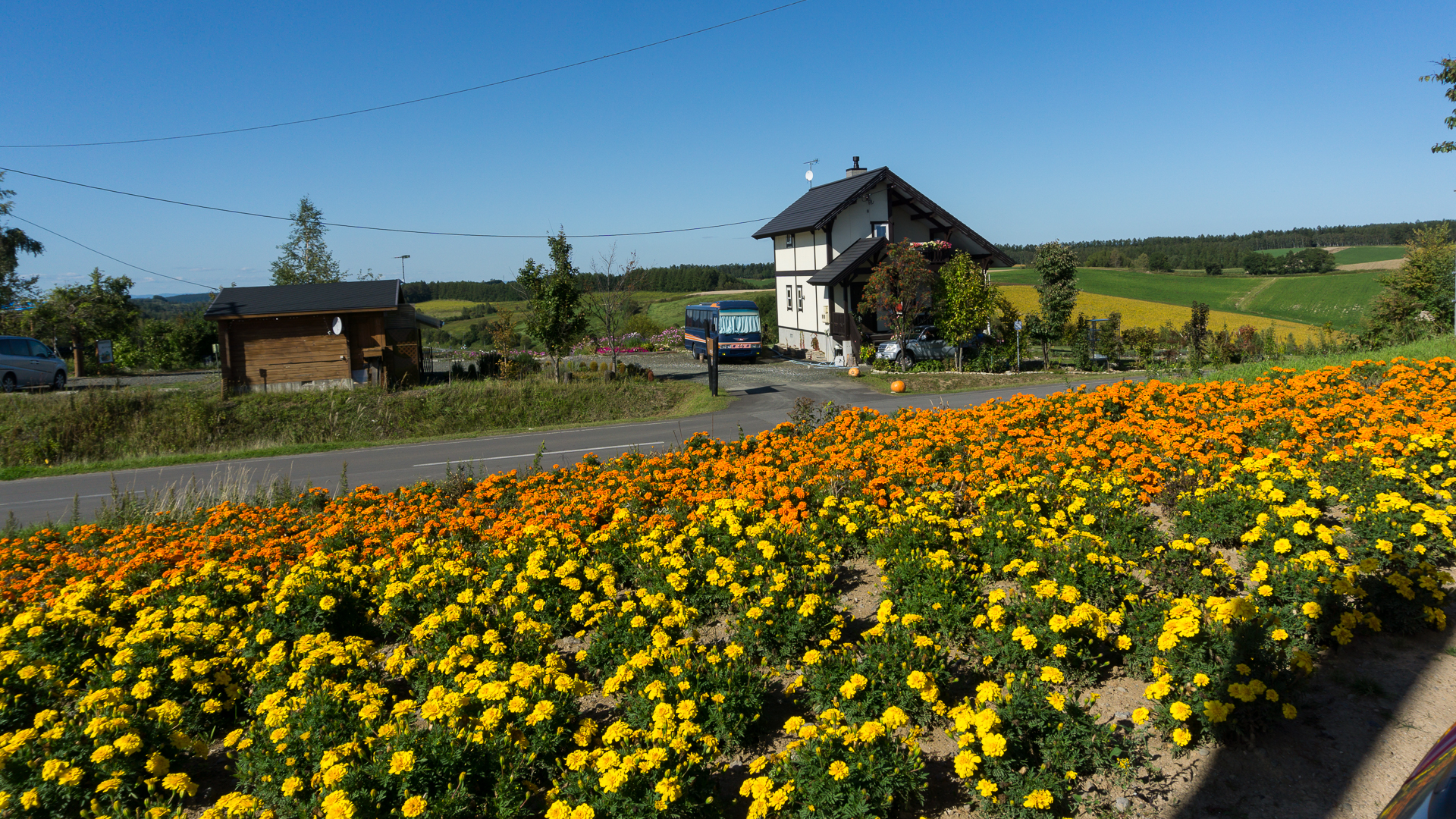 北海道自助遊攻略