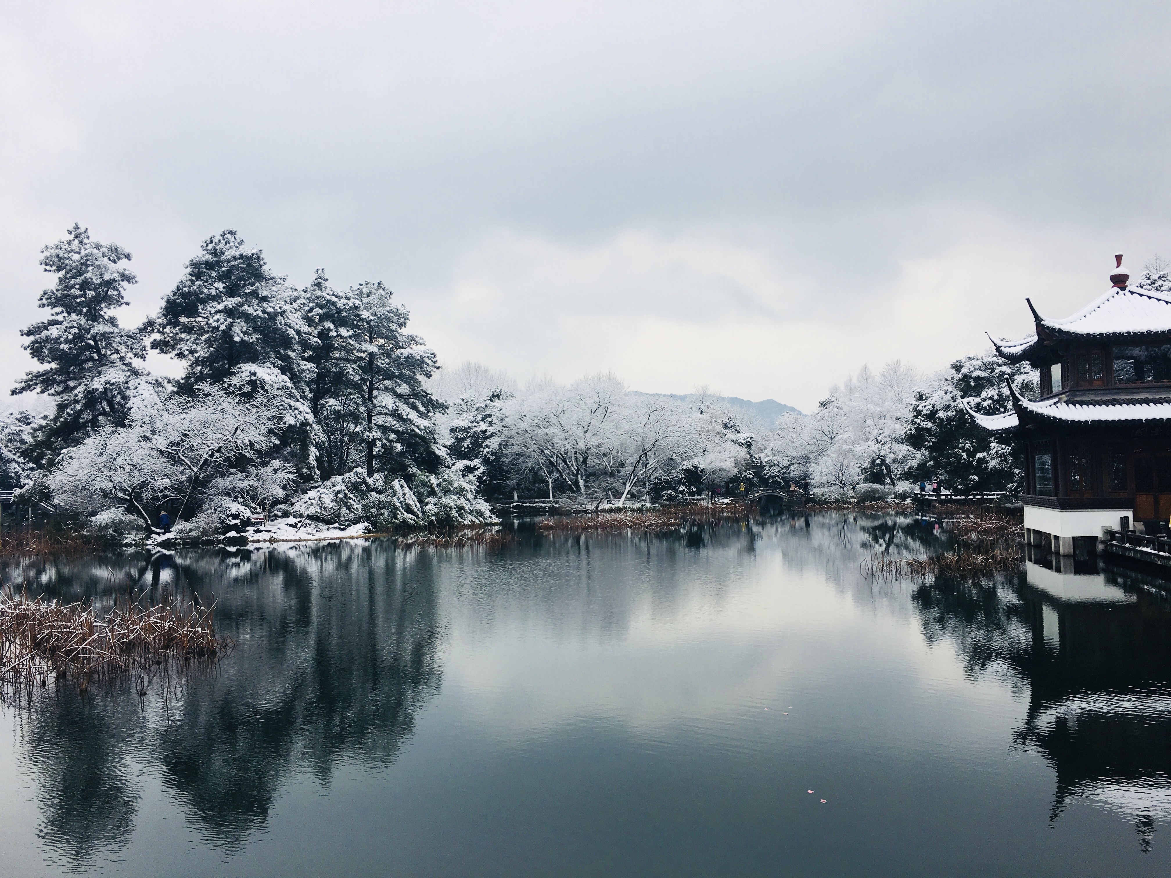 西湖冬天的景色图片