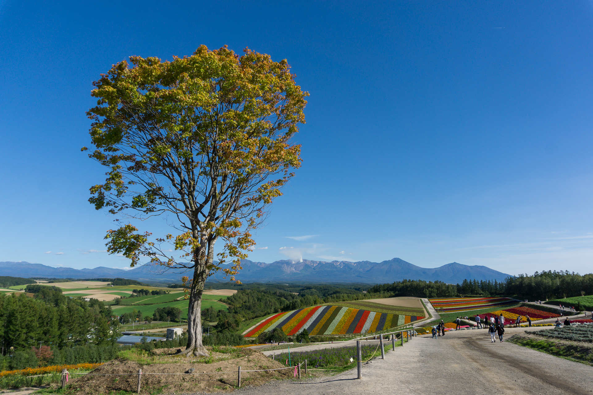 北海道自助遊攻略