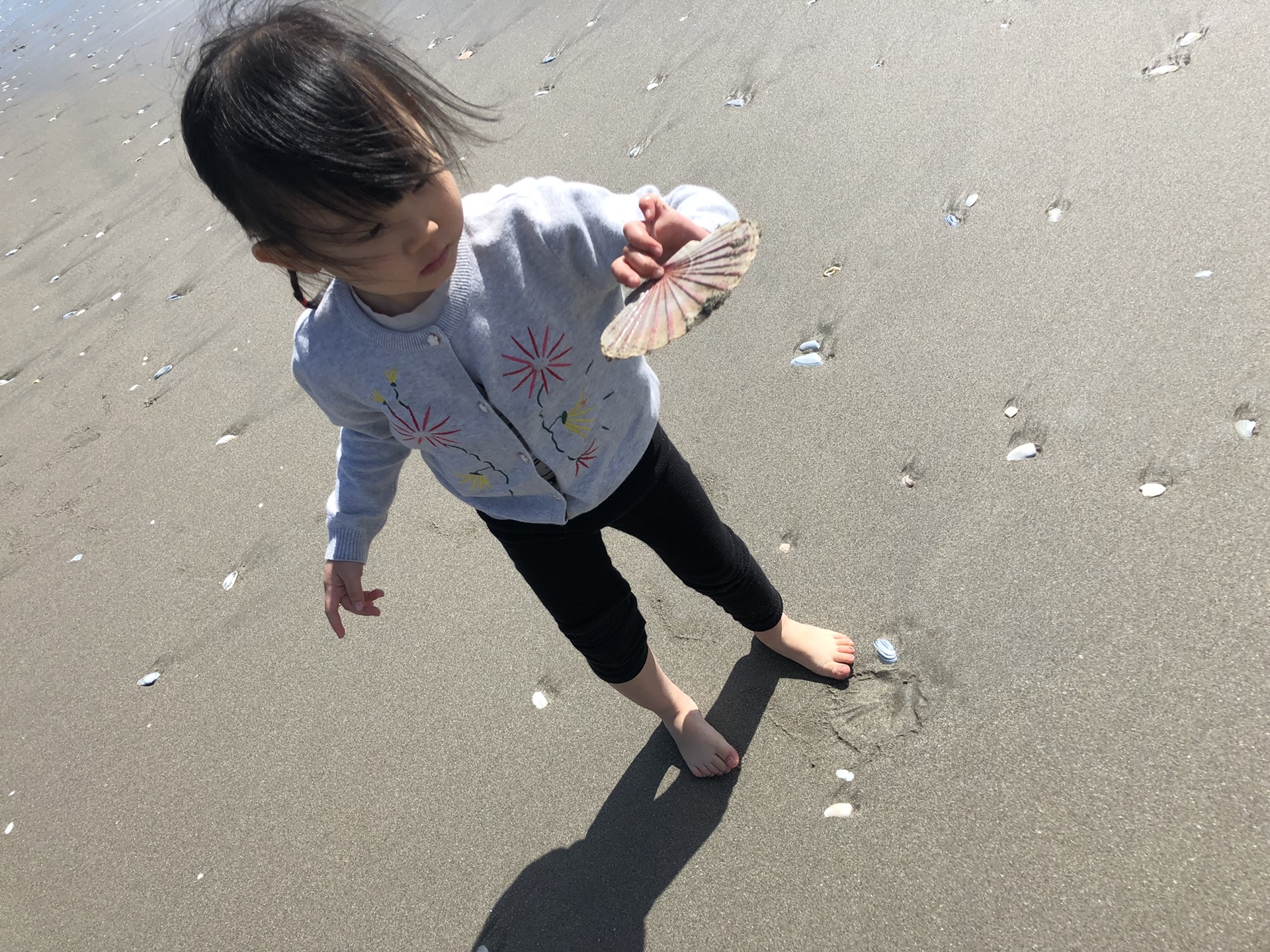 Papamoa Beach