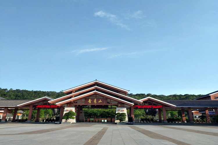 壯美如畫 綠動天下 南寧青秀山 民族博物館 楊美古鎮1日遊,馬蜂窩自由