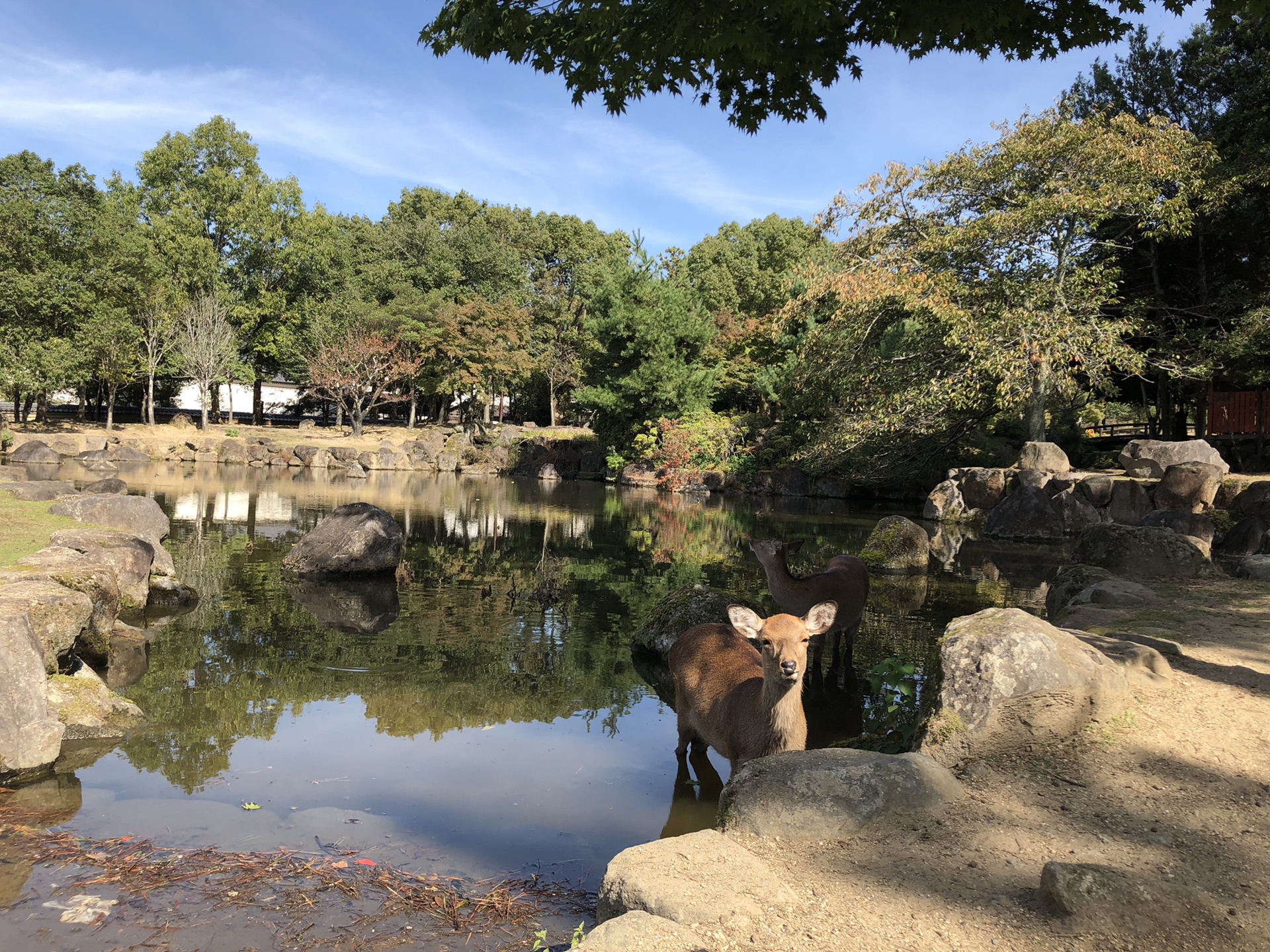 東京自助遊攻略