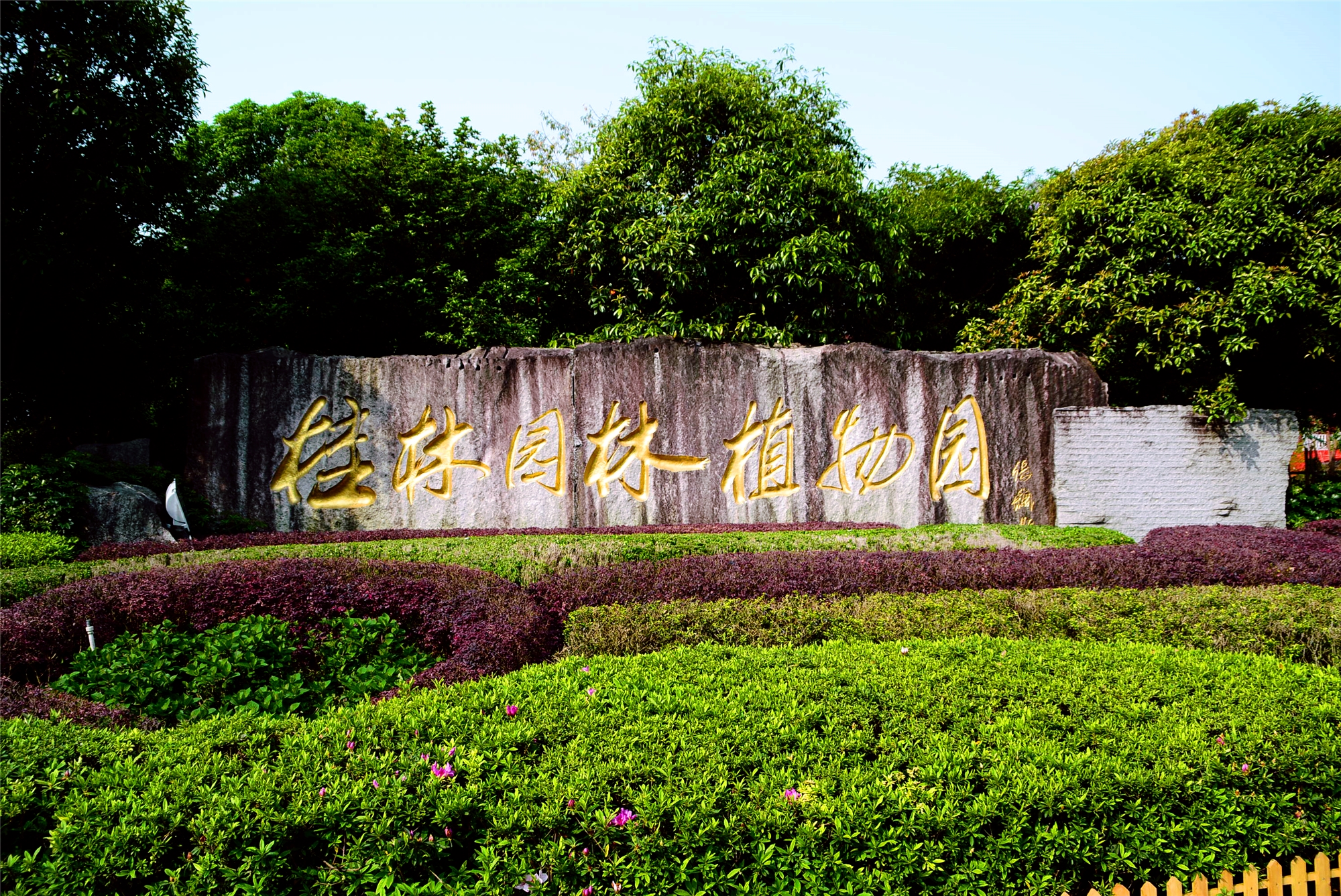 桂林园林植物园图片