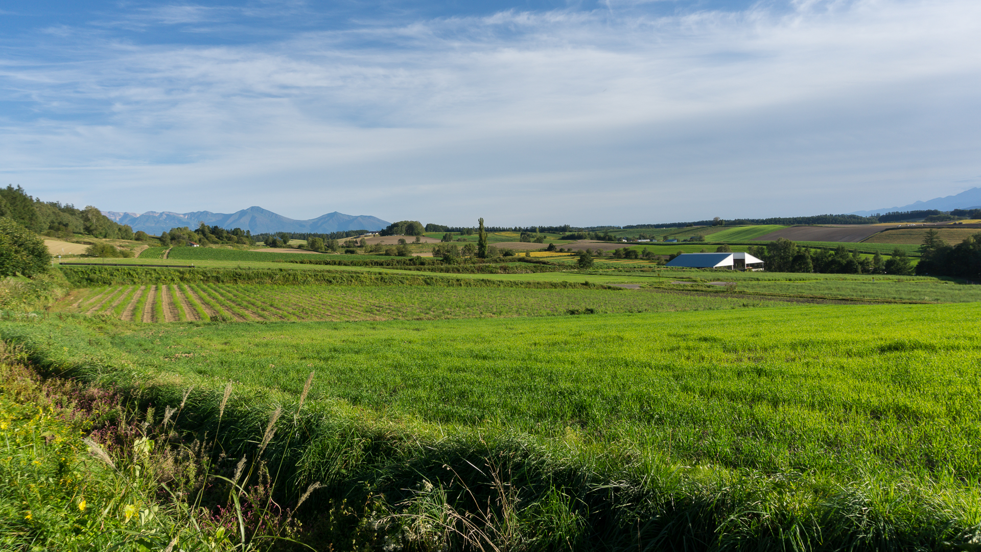 北海道自助遊攻略