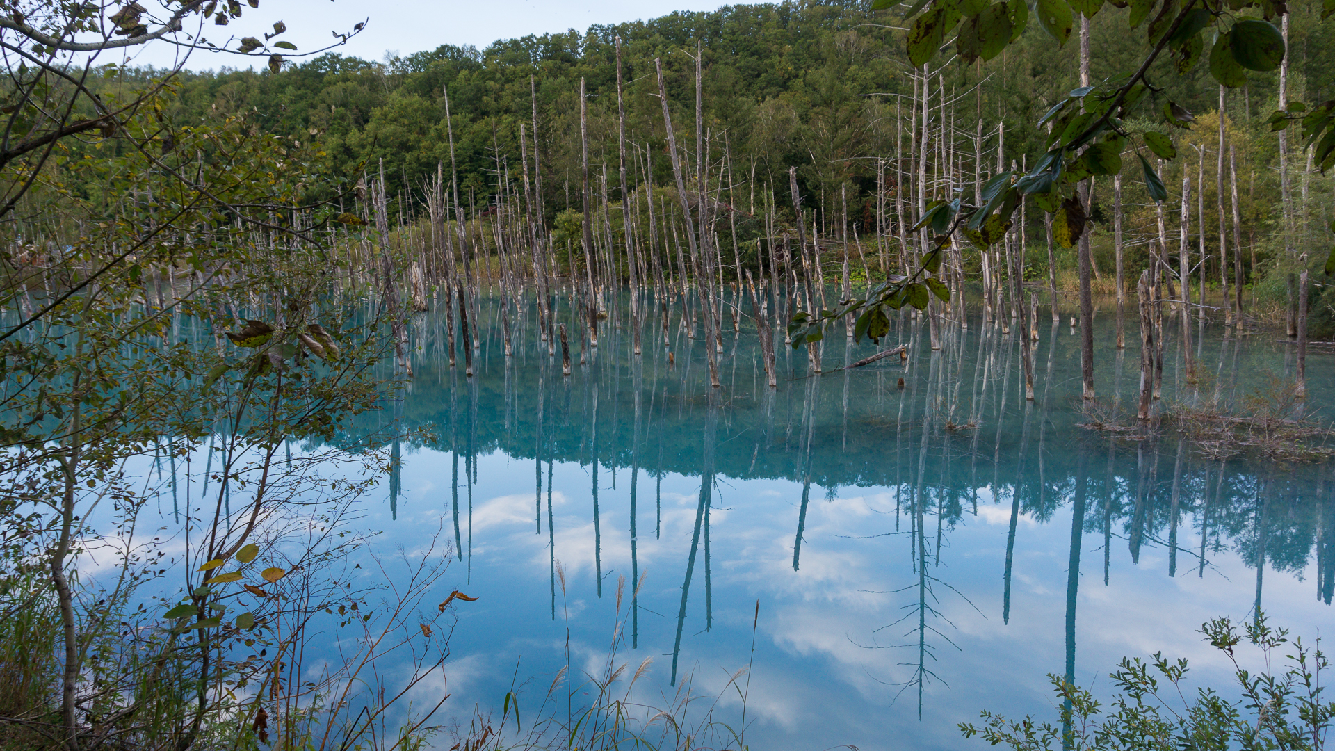 北海道自助遊攻略