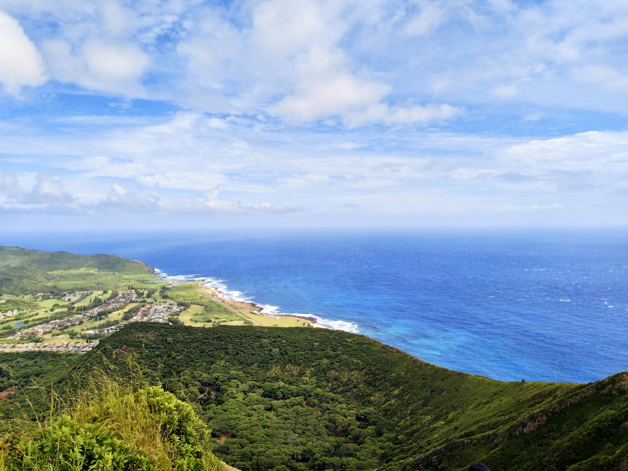 野性与悠闲星空与大海aloha夏威夷