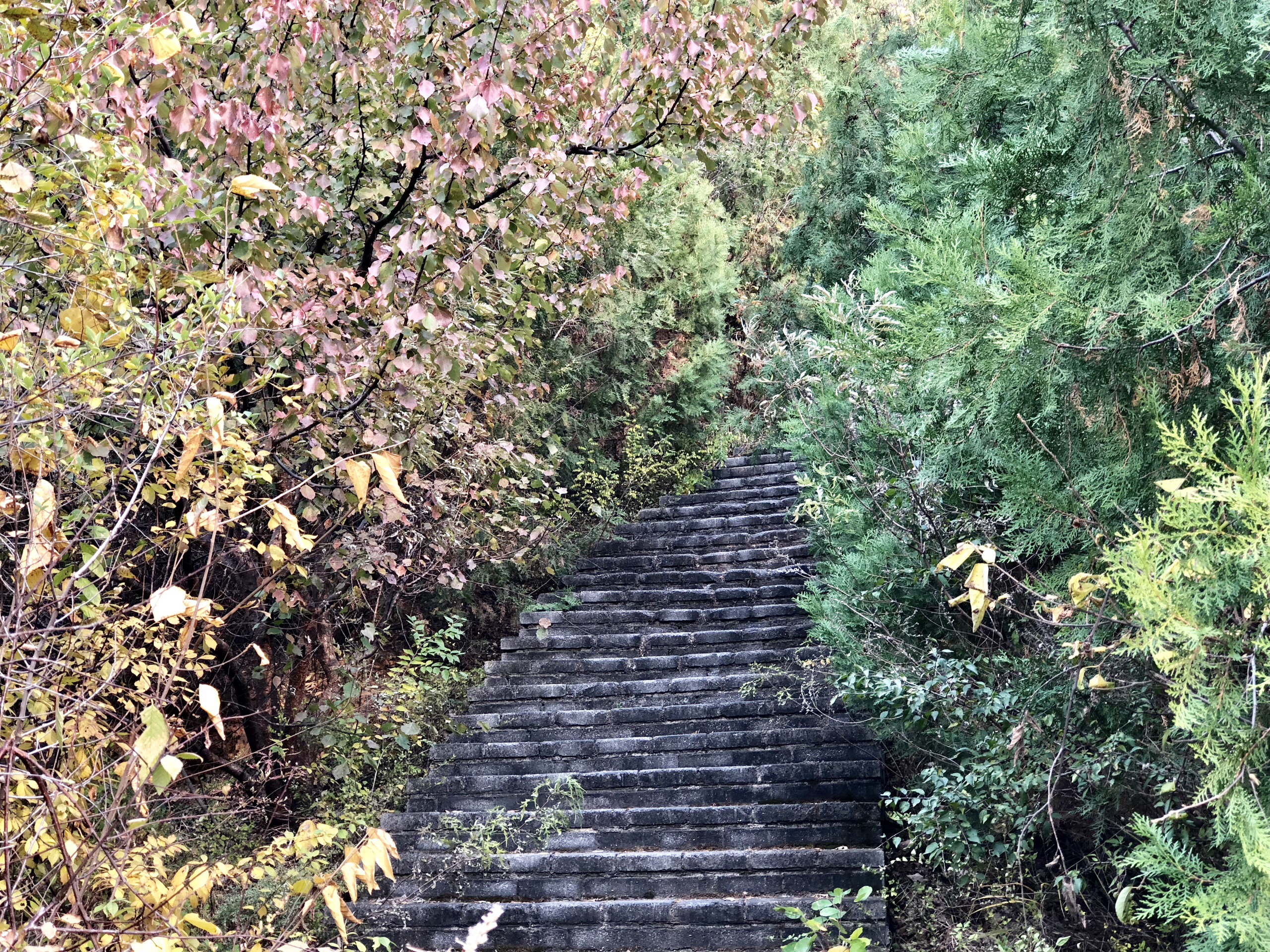 红螺慧缘谷景区门票图片