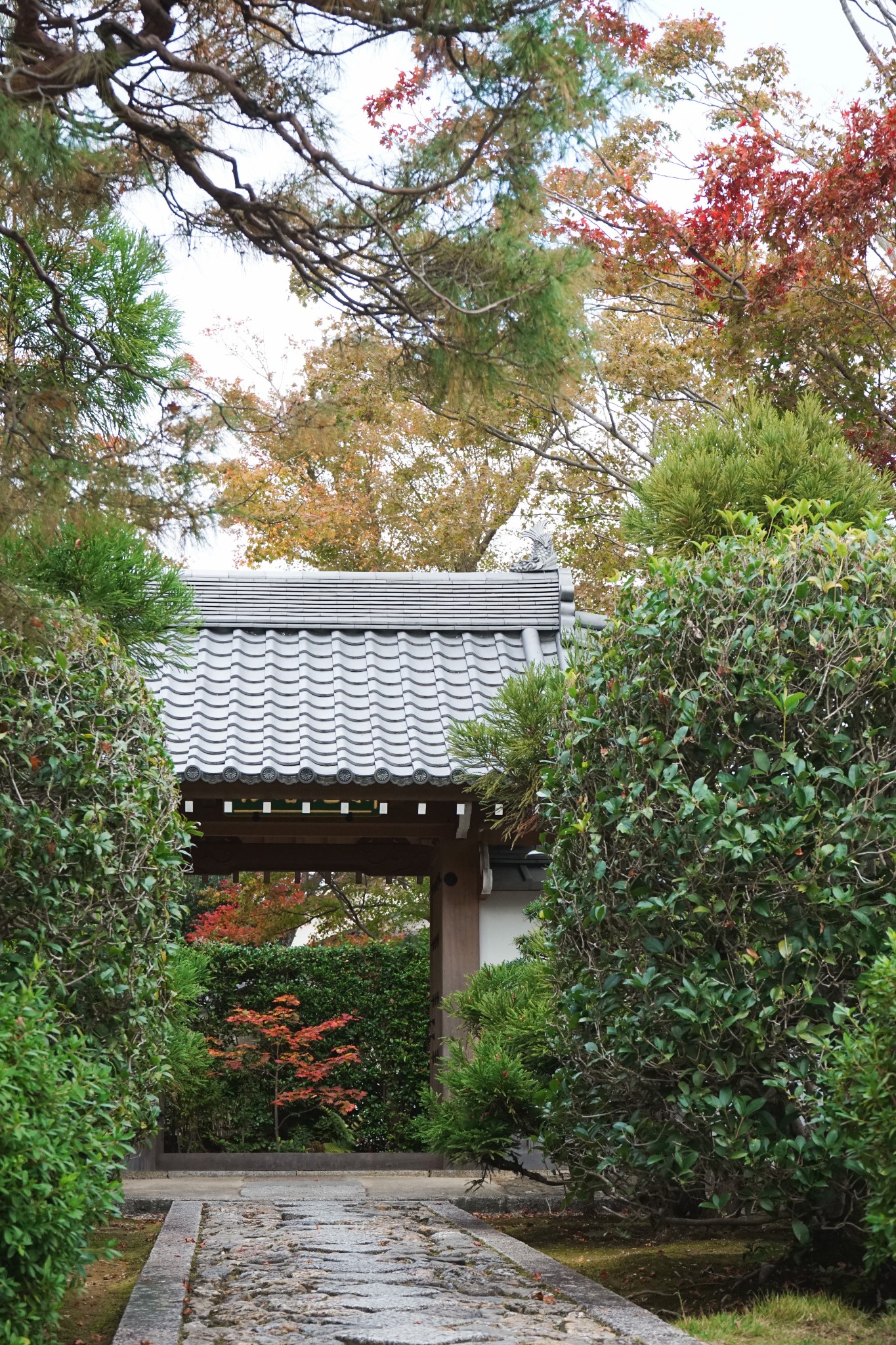 京都自助遊攻略