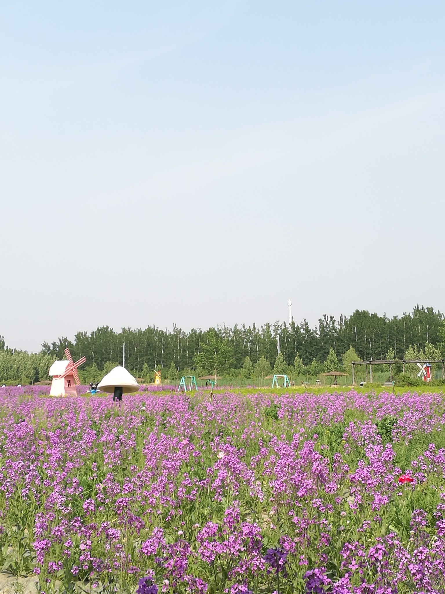 通州花仙子万花园