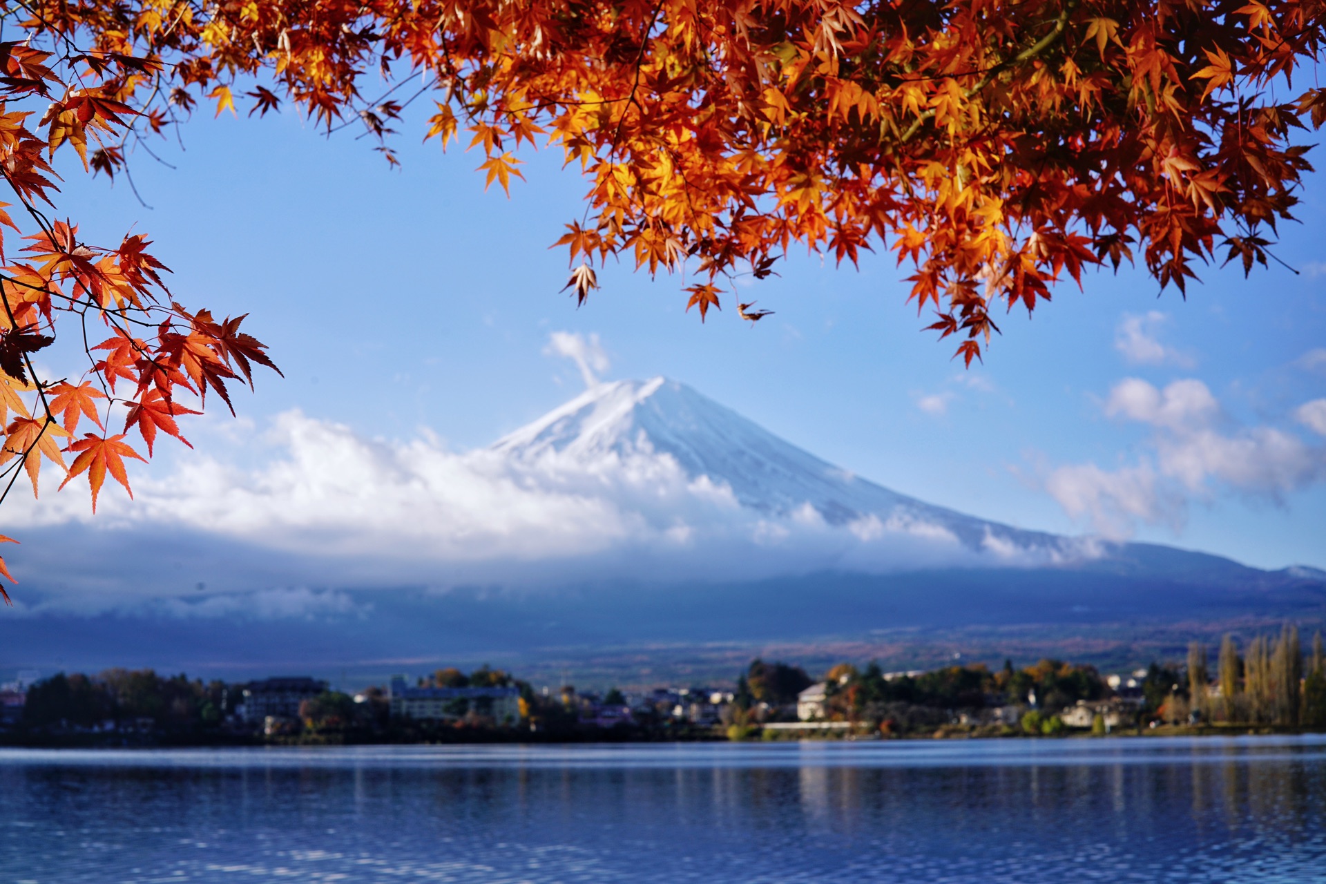 拾起富士山层林尽染的秋天