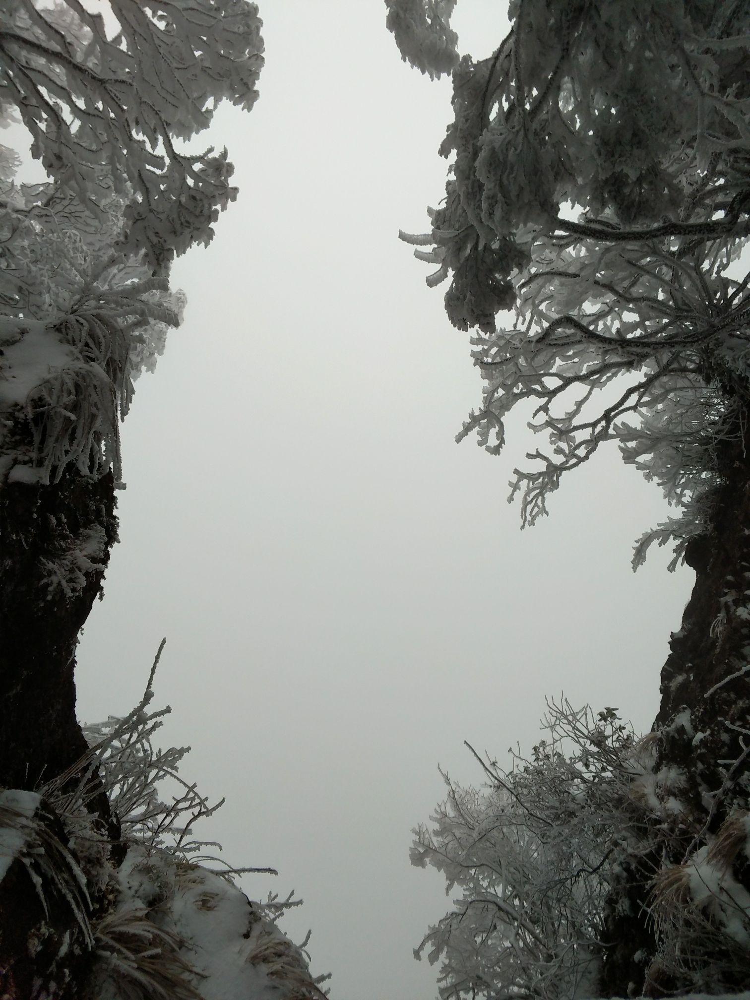 独照峨眉峰