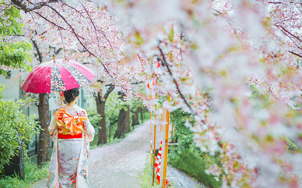 日本樱花季大阪篇 赏樱 购物 游玩全攻略 手机马蜂窝