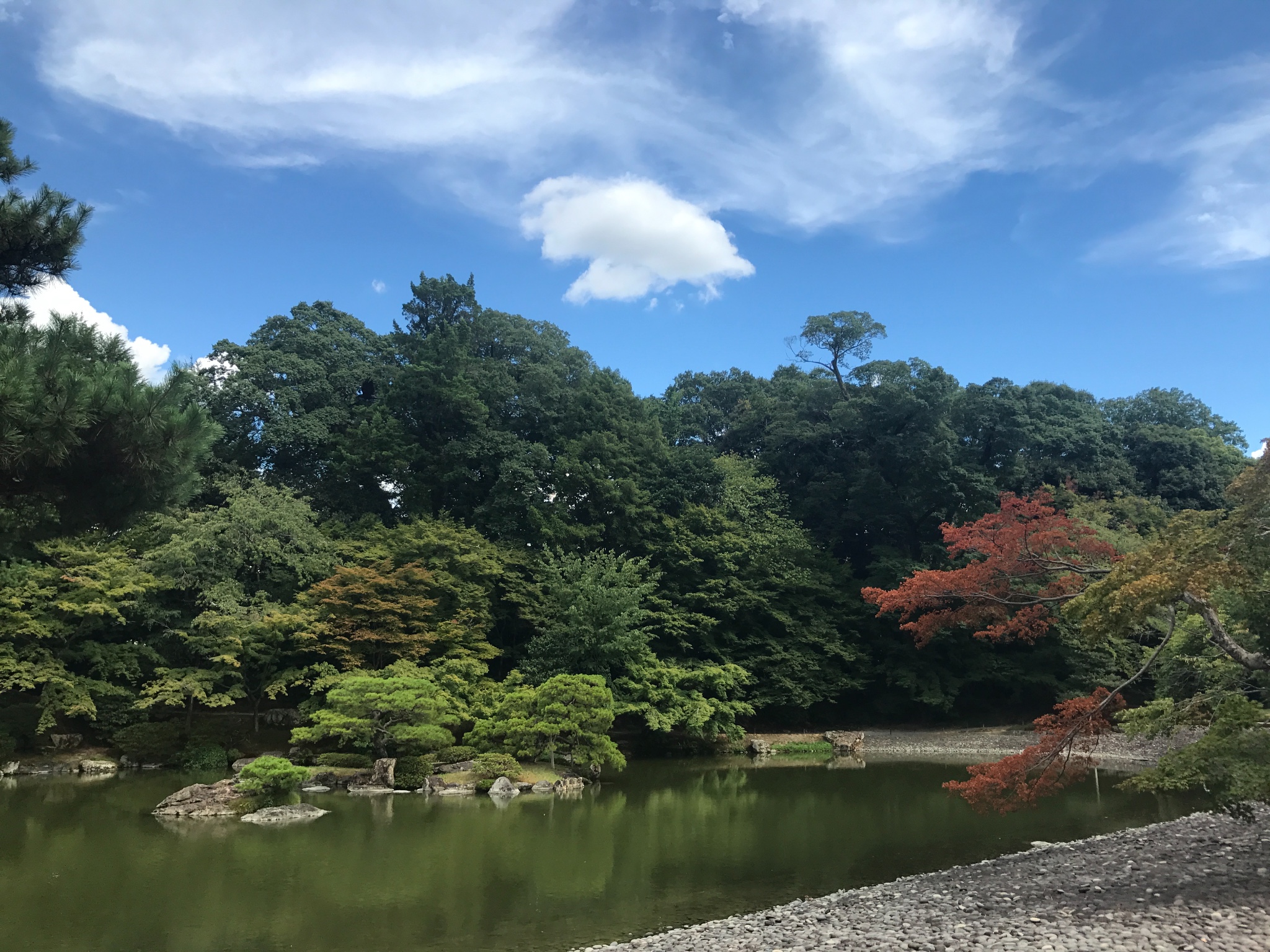 京都自助遊攻略