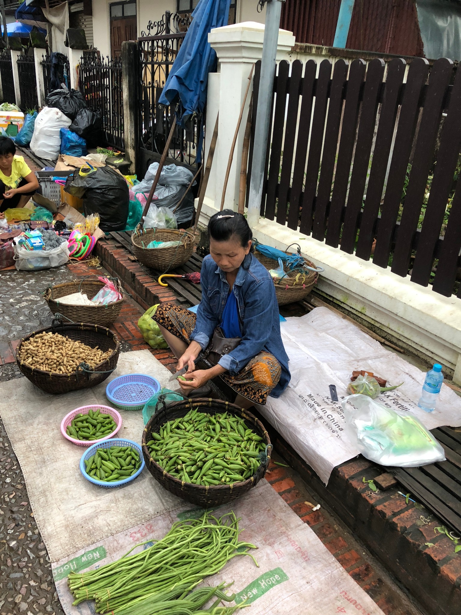 老撾自助遊攻略