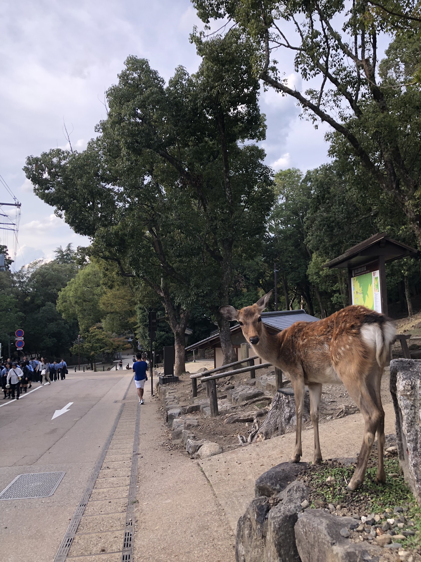 大阪自助遊攻略