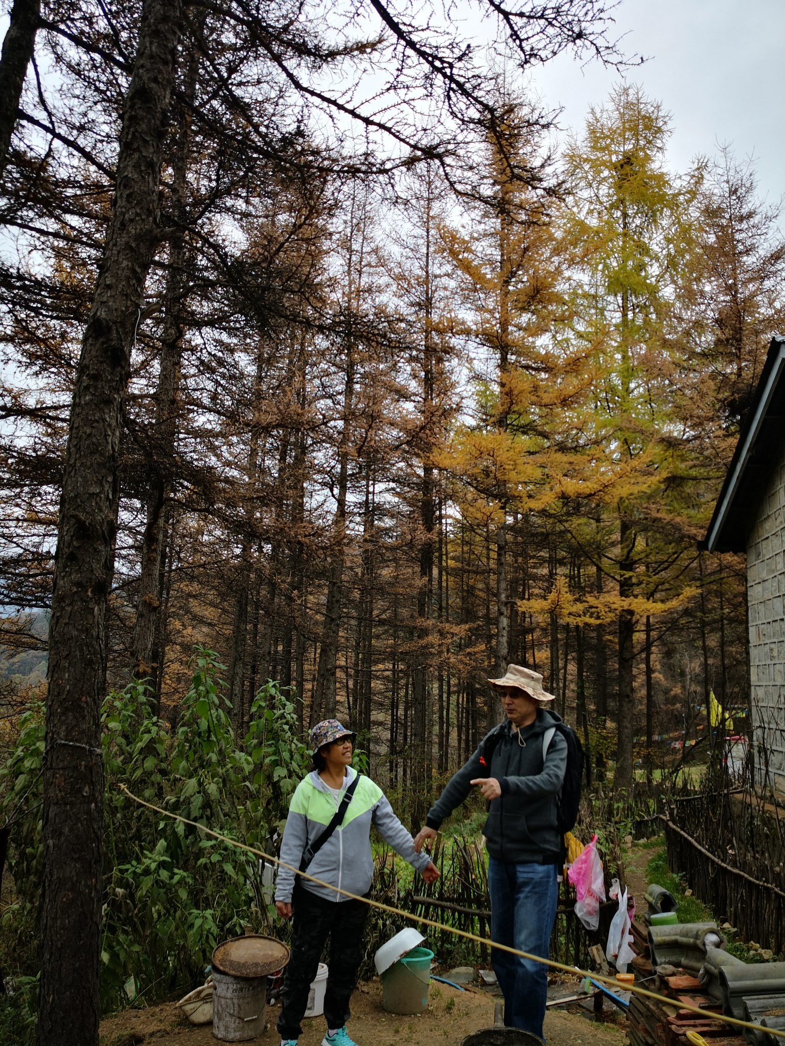 雞窩子山溝中賞景