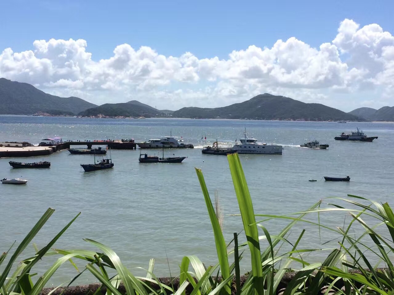 乐清白沙岛游记, 白沙岛旅游攻略, 白沙岛自助游游记 - 马蜂窝