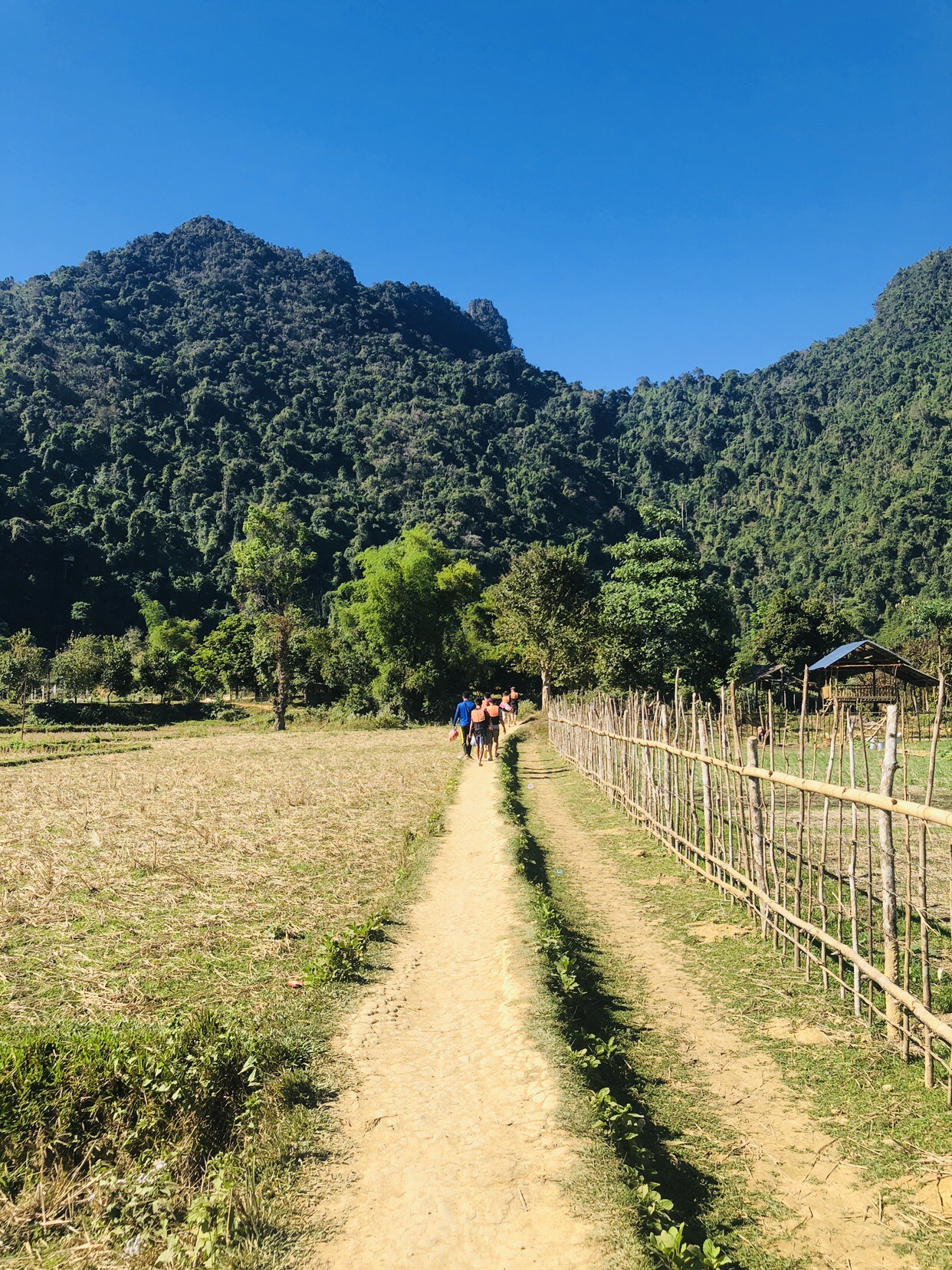 Vang Vieng Elephant Sanctuary