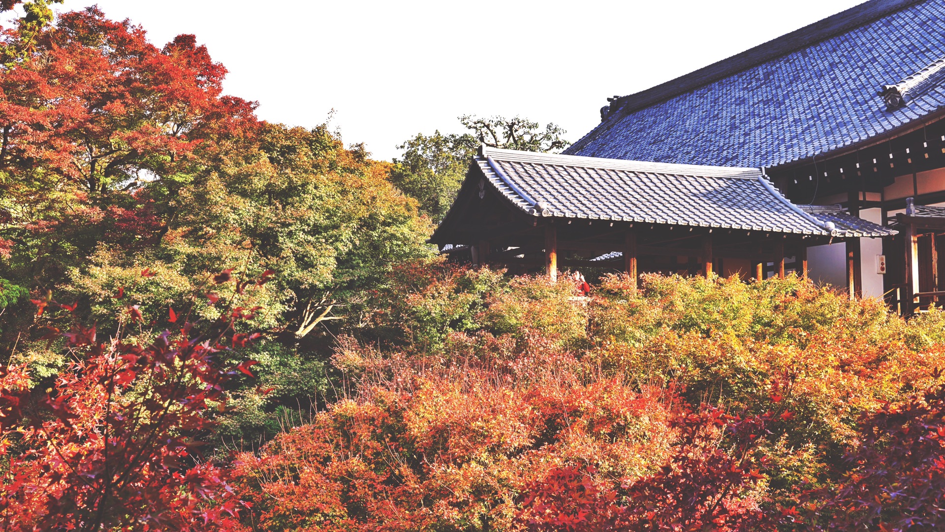 京都自助遊攻略