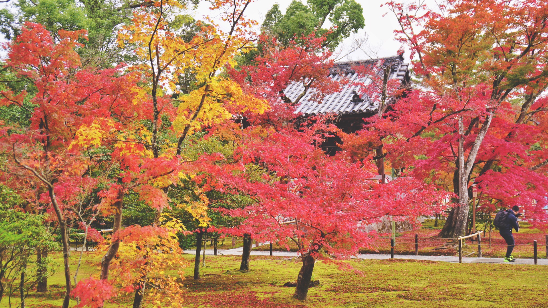 京都自助遊攻略