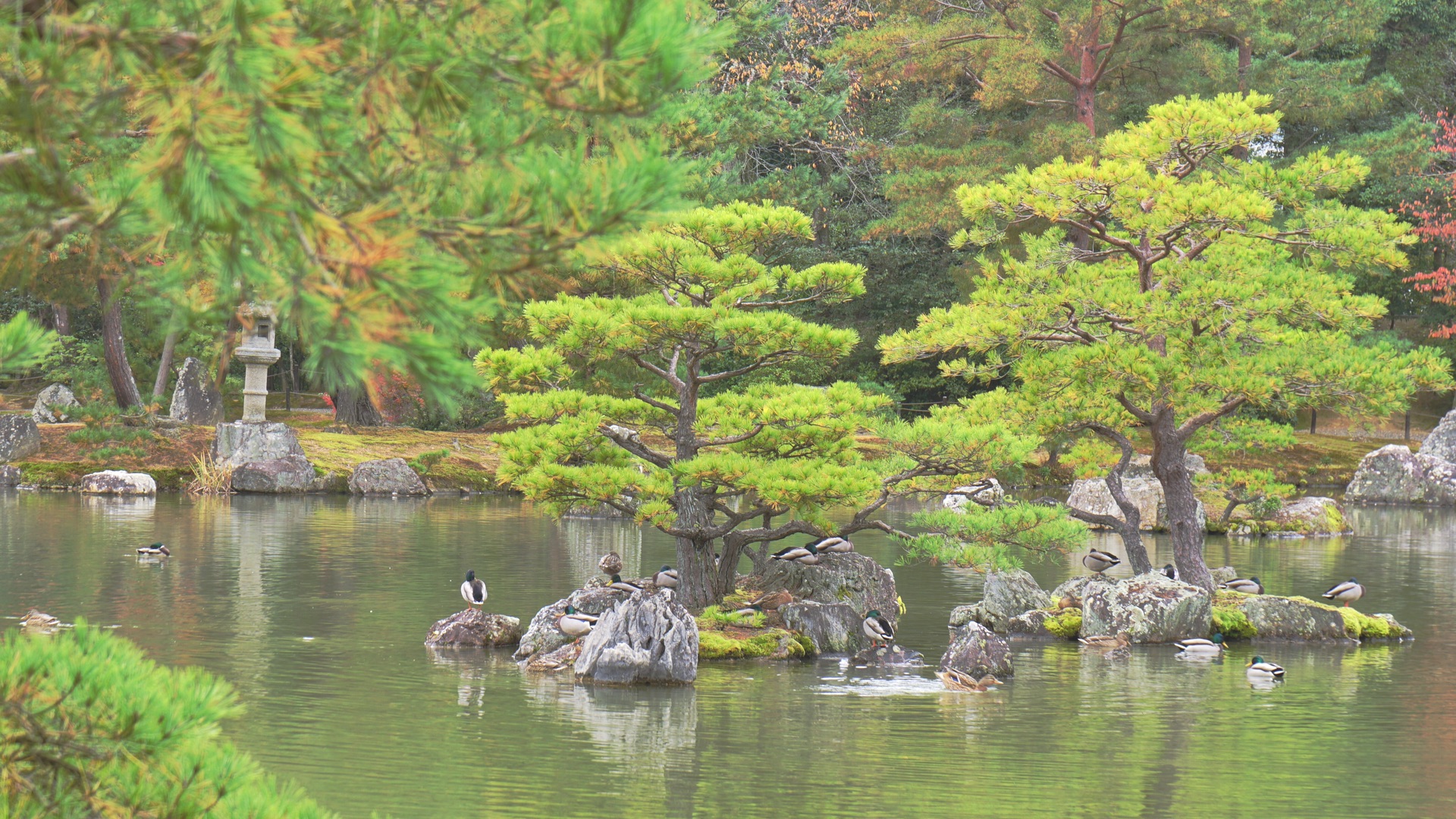 京都自助遊攻略