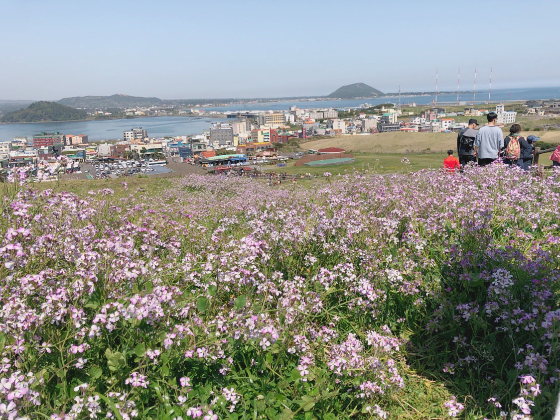 濟州島自助遊攻略