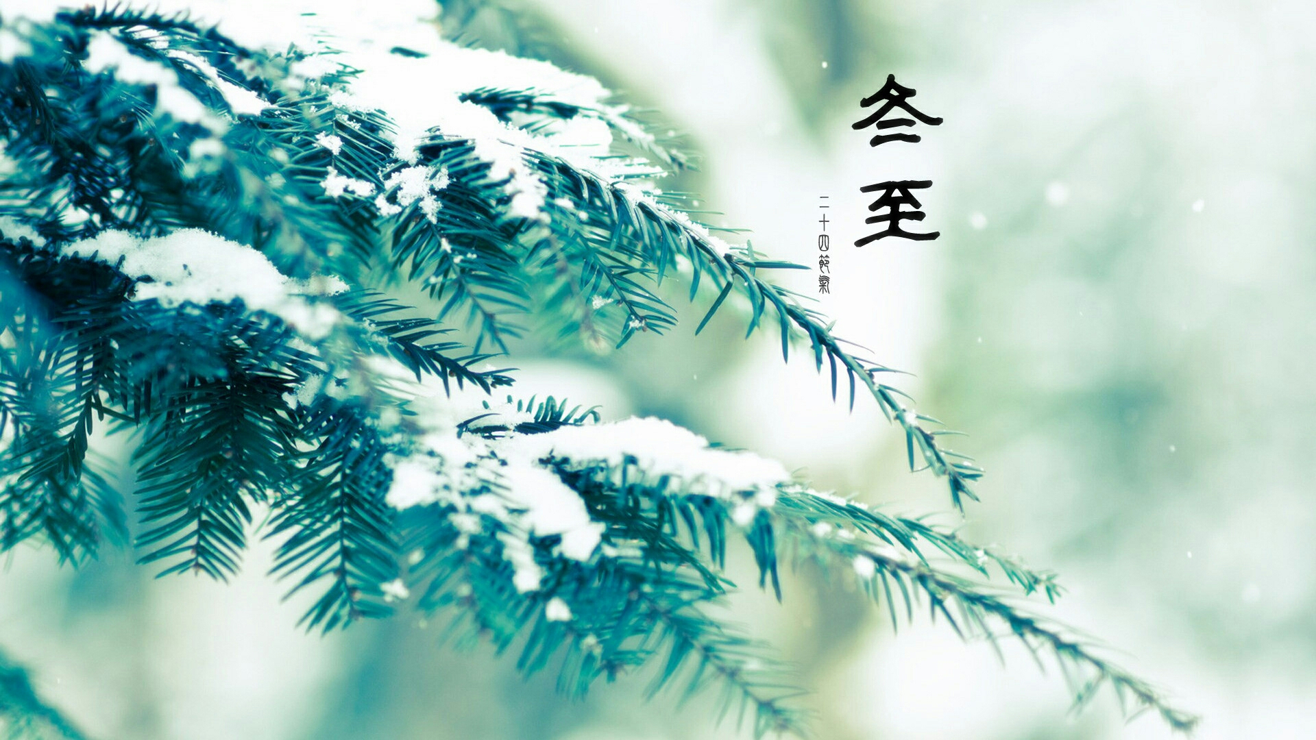 爷爷说:数九寒天下大雪,春打六九头