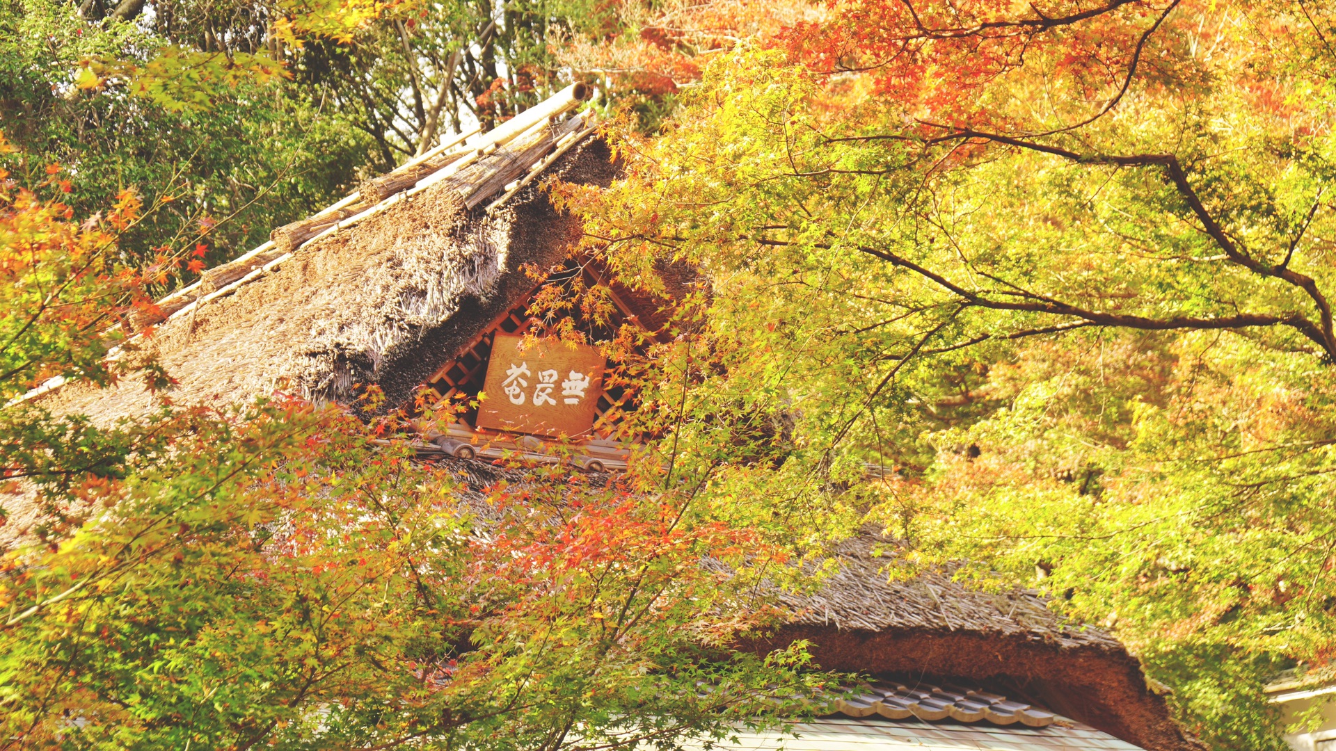 京都自助遊攻略