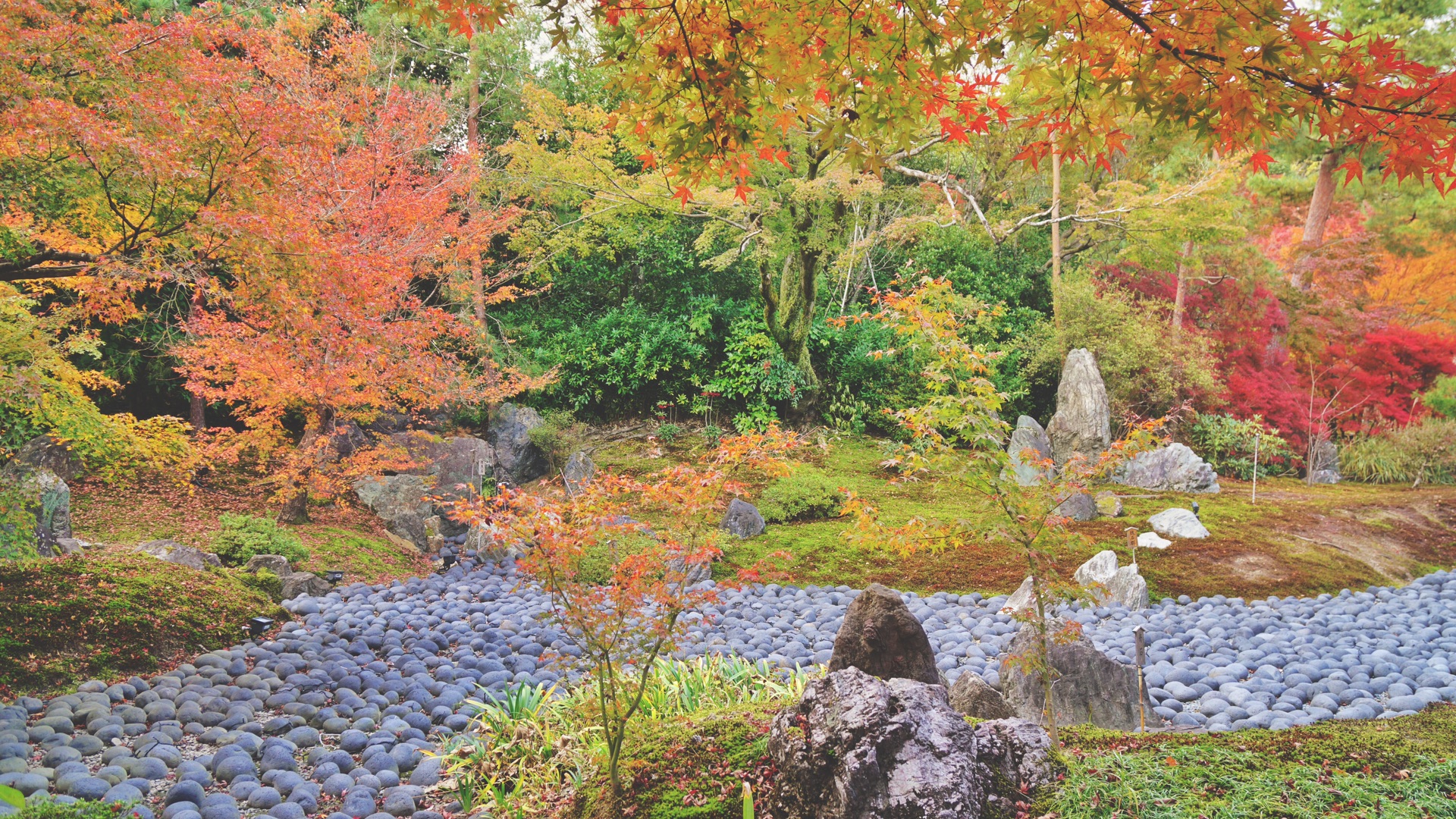 京都自助遊攻略