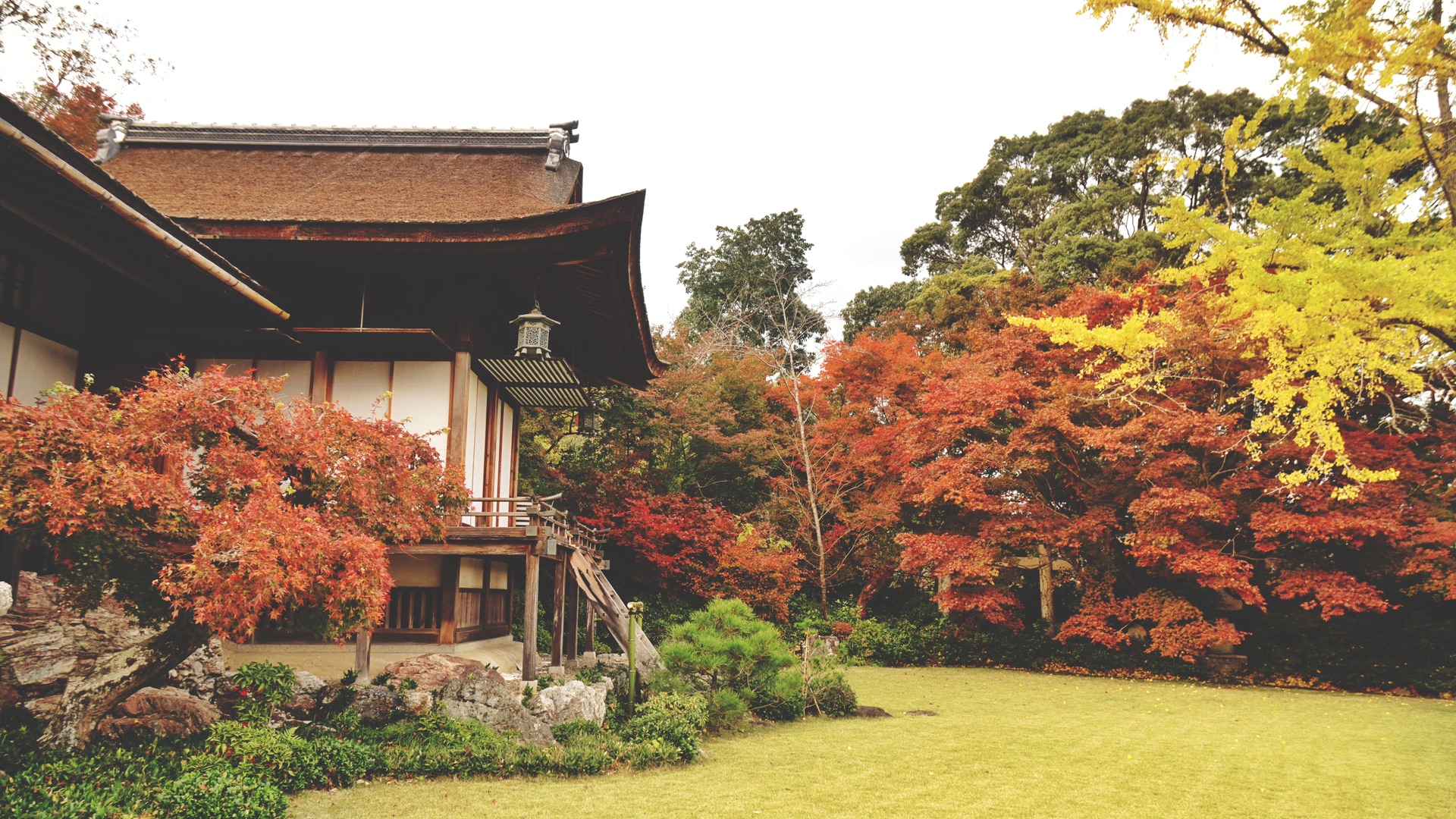 京都自助遊攻略