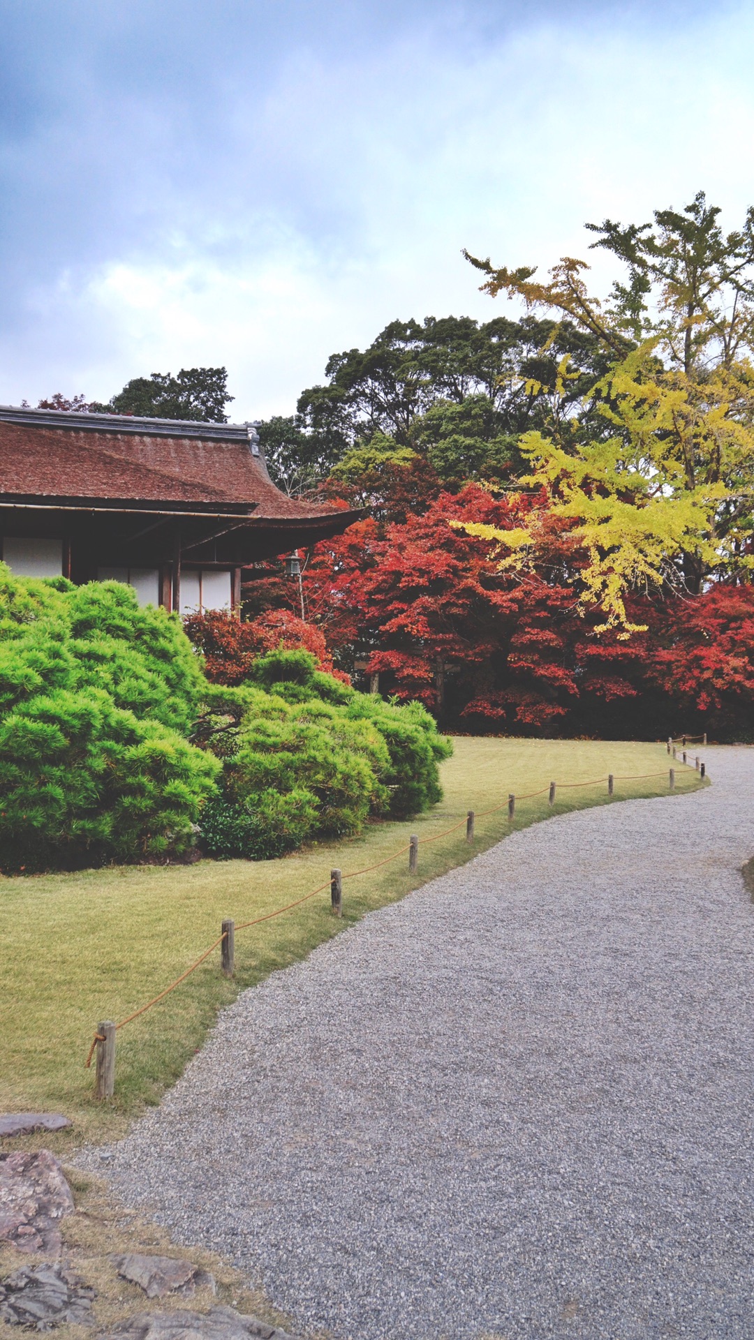 京都自助遊攻略