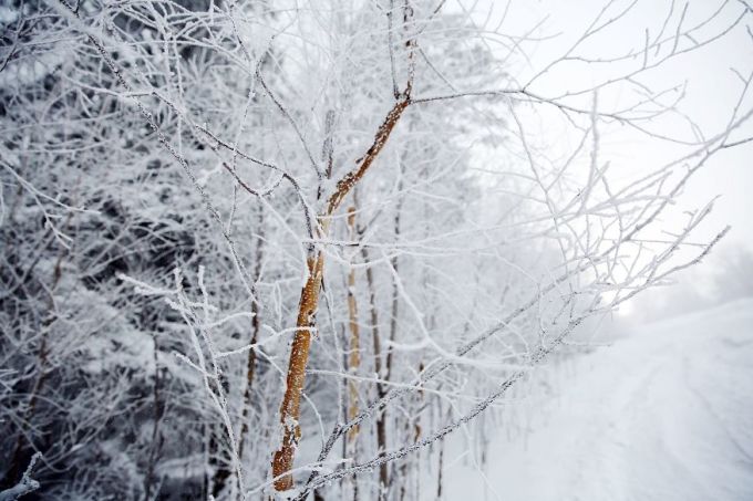 天气预报北京未来哪天有雪 wKgED1w92YeAG1w5AAGMqjz6kVc91.jpeg?imageView2%2F2%2Fw%2F680%2Fq%2F90%7CimageMogr2%2Fstrip%2Fquality%2F90