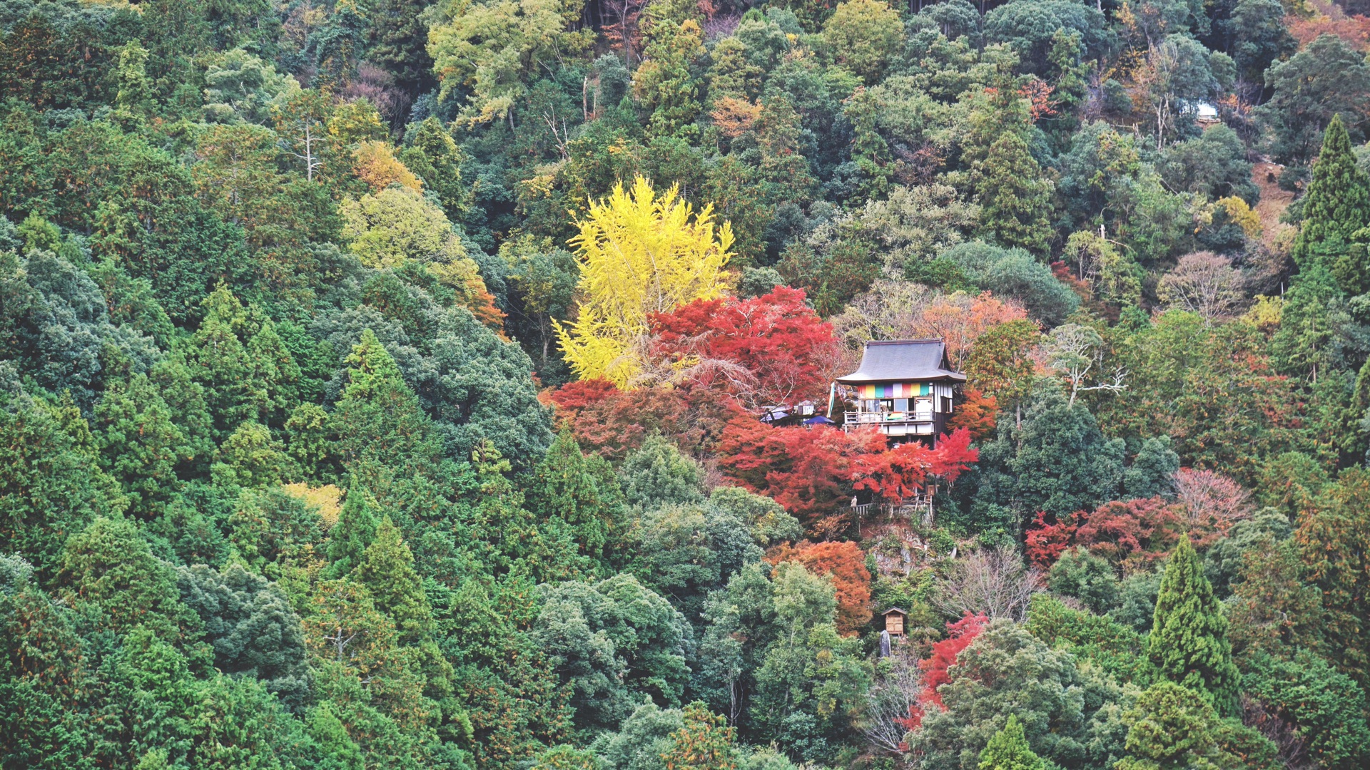 京都自助遊攻略