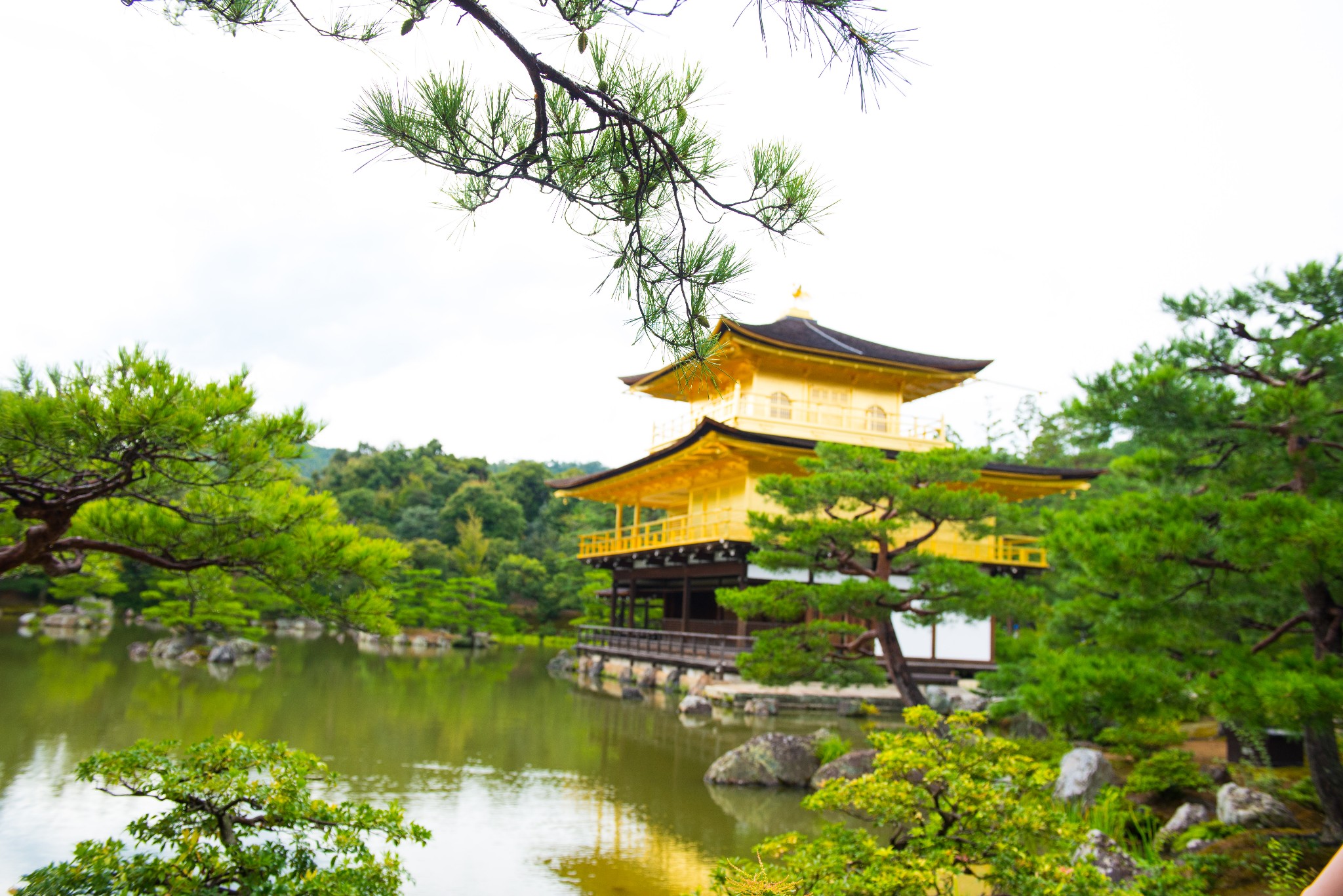 京都自助遊攻略