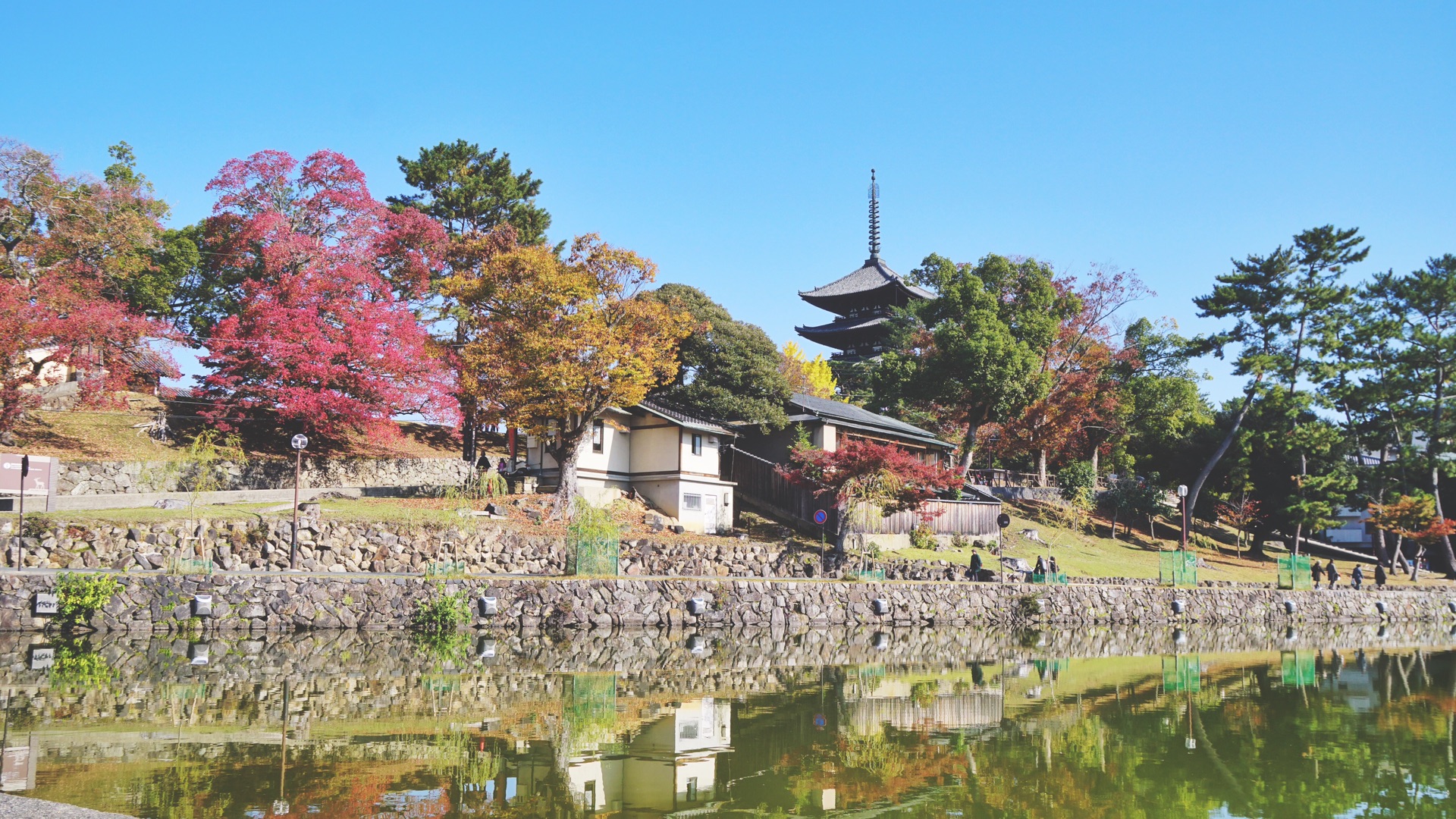 京都自助遊攻略